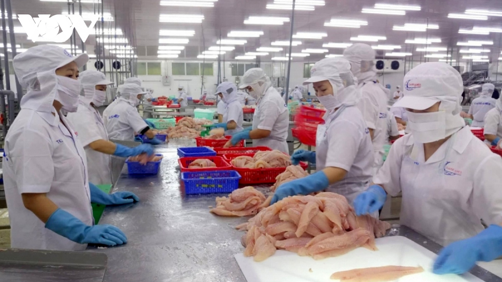 Positive signs ahead for Vietnamese pangasius exports to US, China