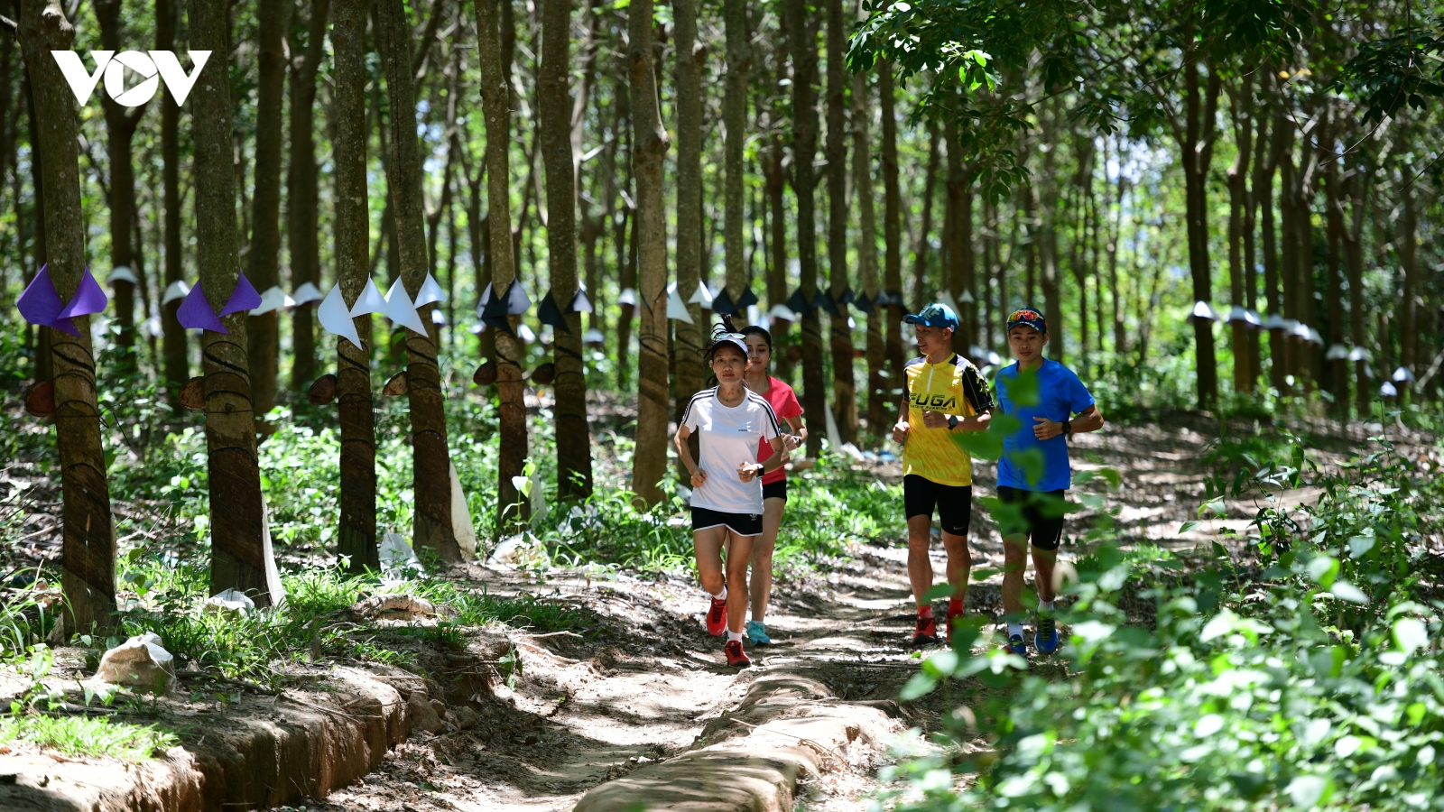 Khởi động giải chạy Marathon Vì An toàn giao thông - Sa Thầy 2023