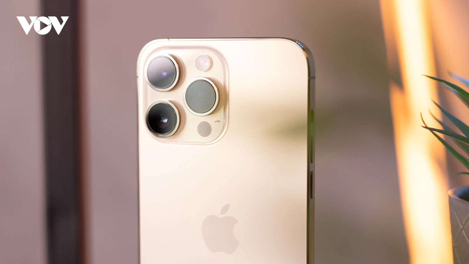 Apple có thể đang phát triển một chiếc iPhone siêu cao cấp, siêu đắt tiền