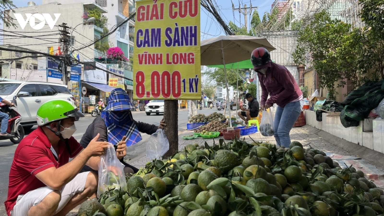 Lại "giải cứu" cam sành