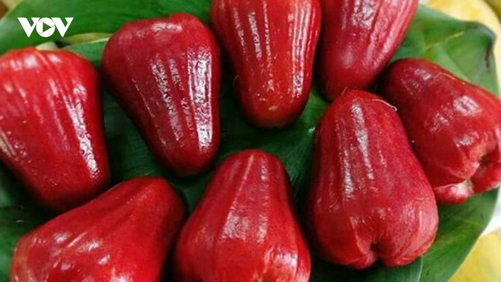 Tác dụng thần kỳ của quả roi đối với thai phụ