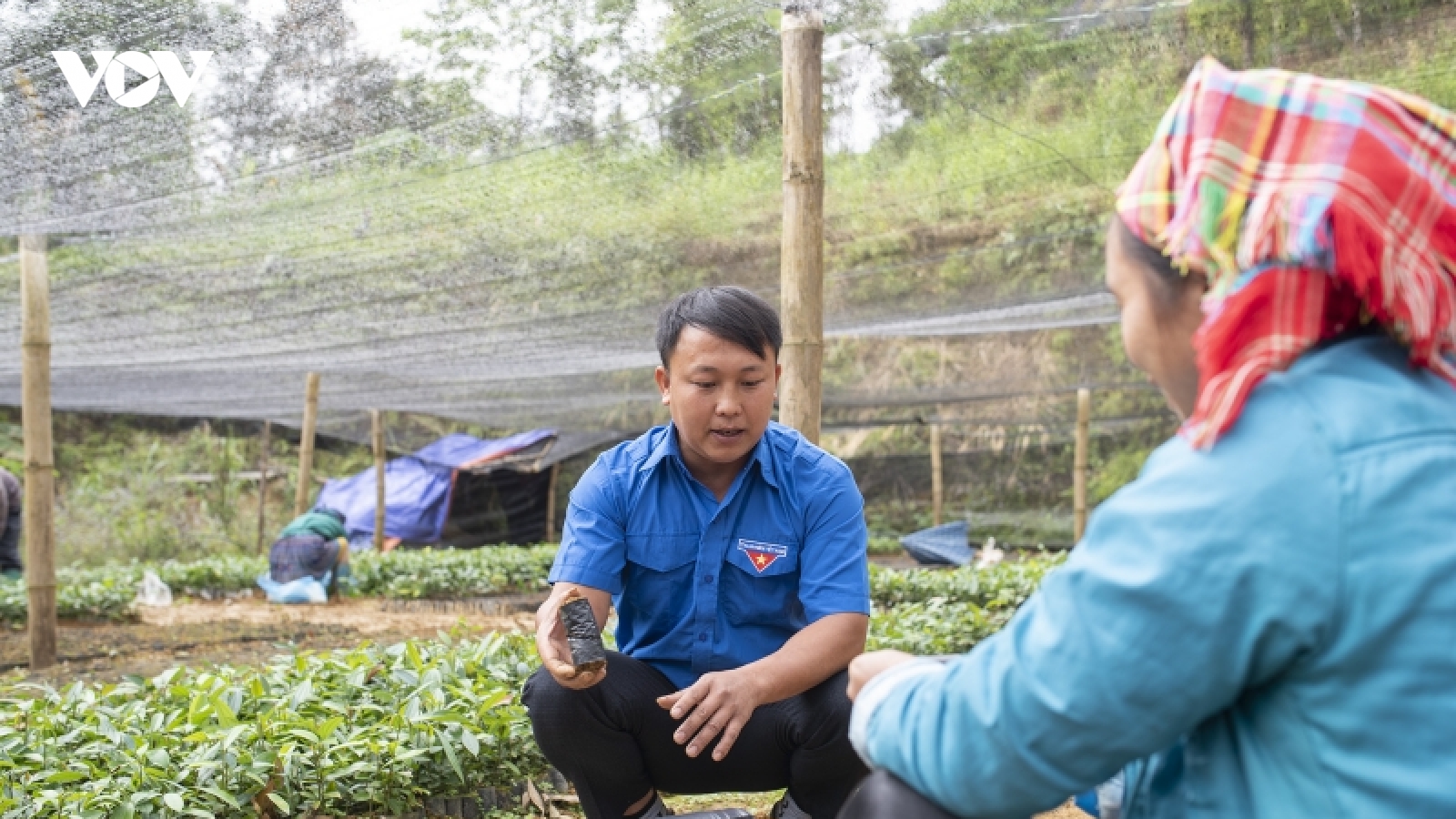 Thanh niên người Mông mang khát vọng phủ xanh quê hương vùng cao