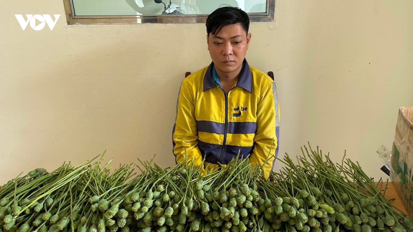 Hà Nội: Mang hơn 5kg cây thuốc phiện ra cổng trường đại học bán
