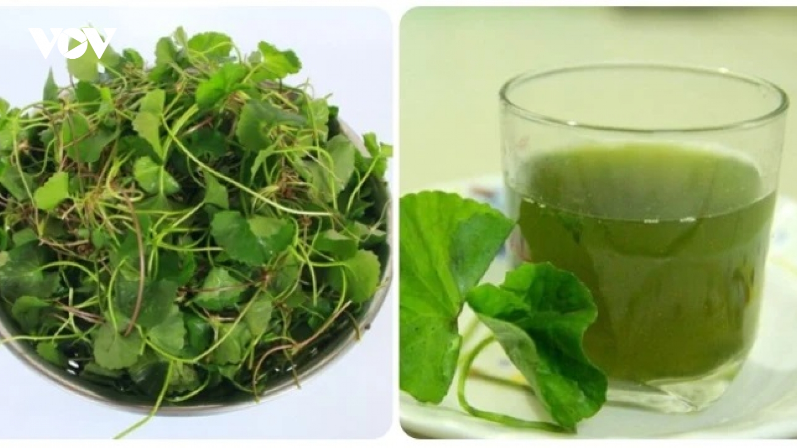 Uống nước rau má mỗi ngày có tốt không?