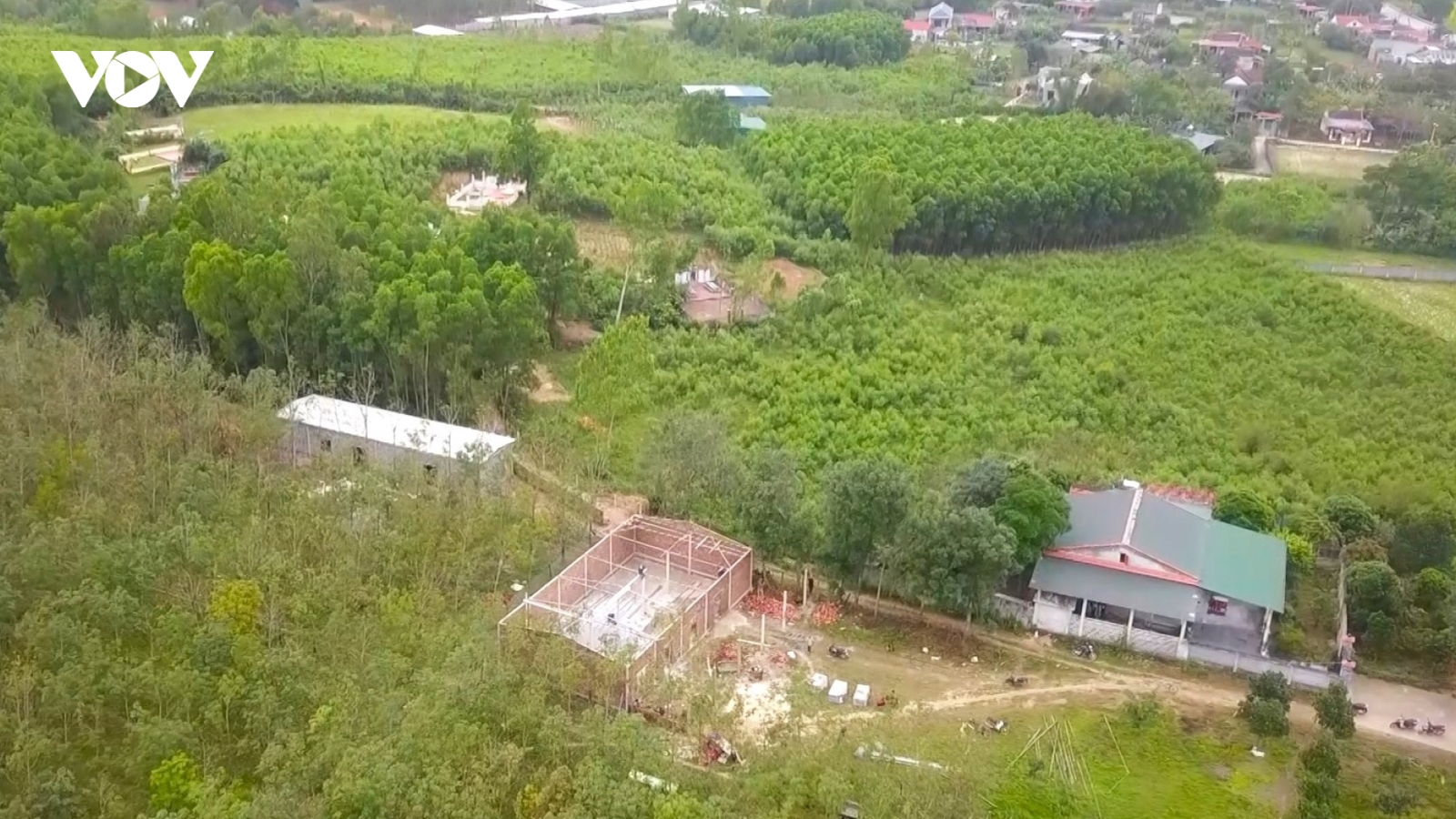 Muốn sản xuất lớn phải tích tụ đất đai