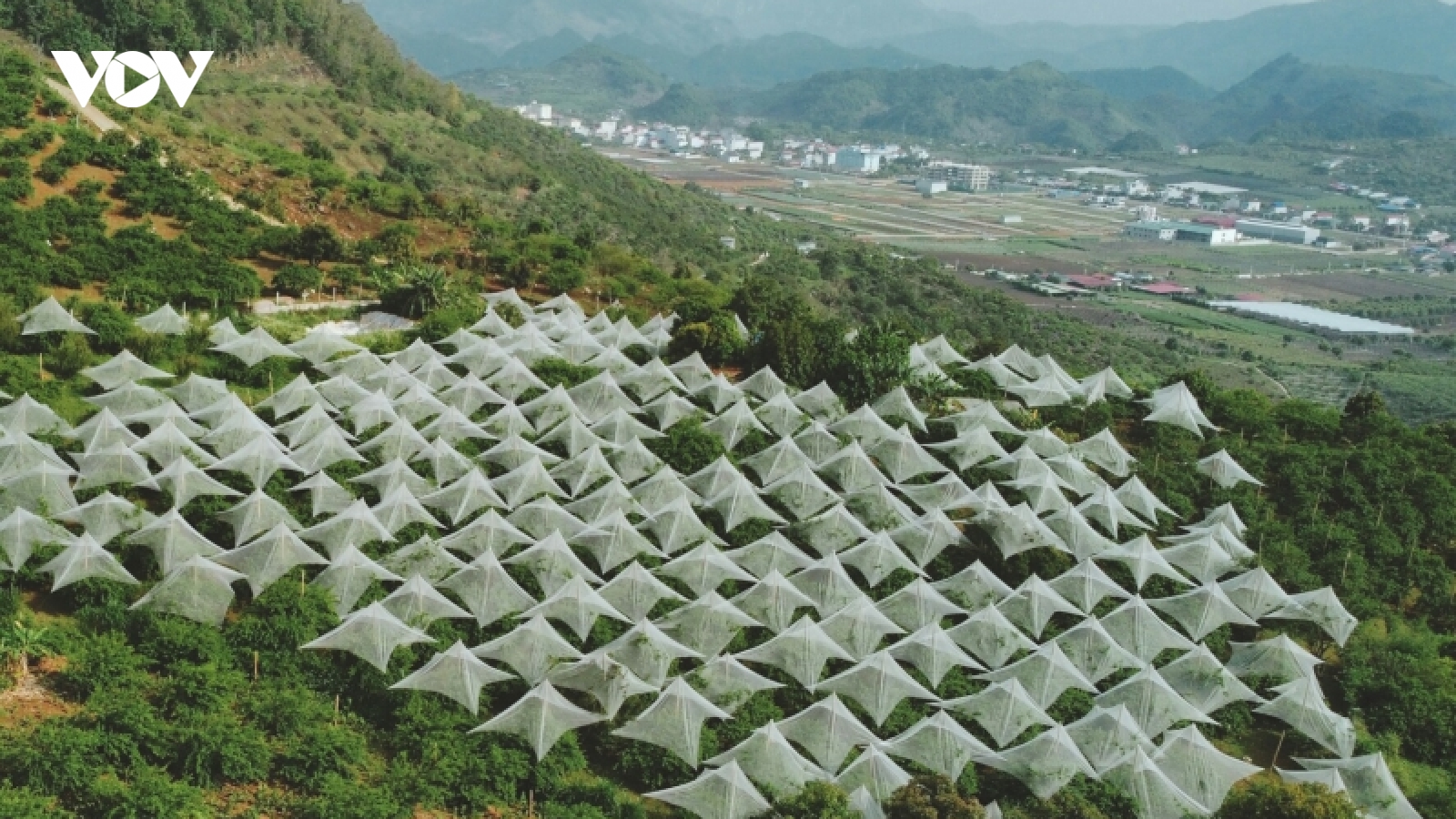 Sơn La phát triển công nghiệp chế biến nông sản và nông nghiệp ứng dụng công nghệ cao