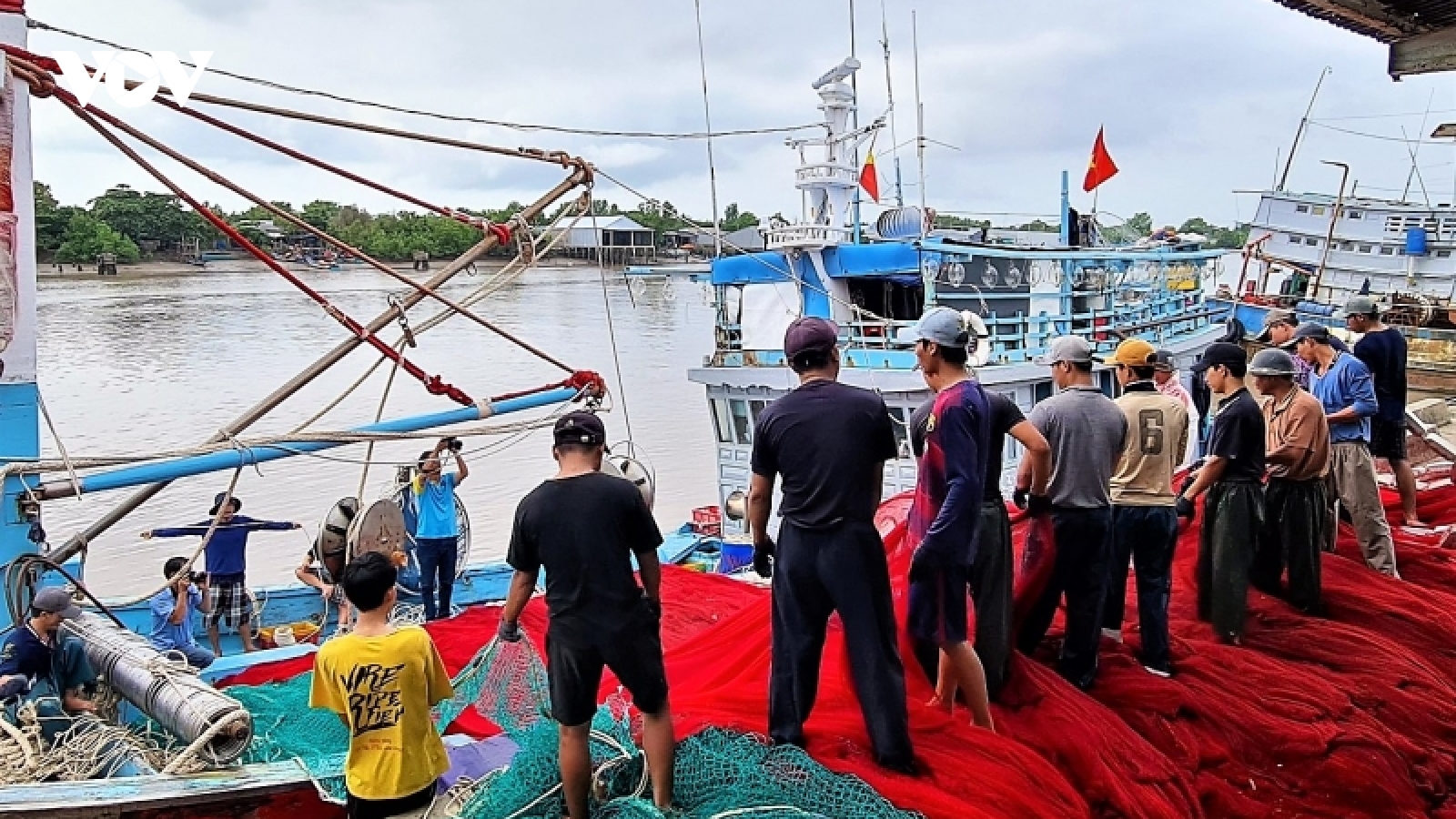 Cà Mau không cho tàu cá thiếu điều kiện ra biển hoạt động
