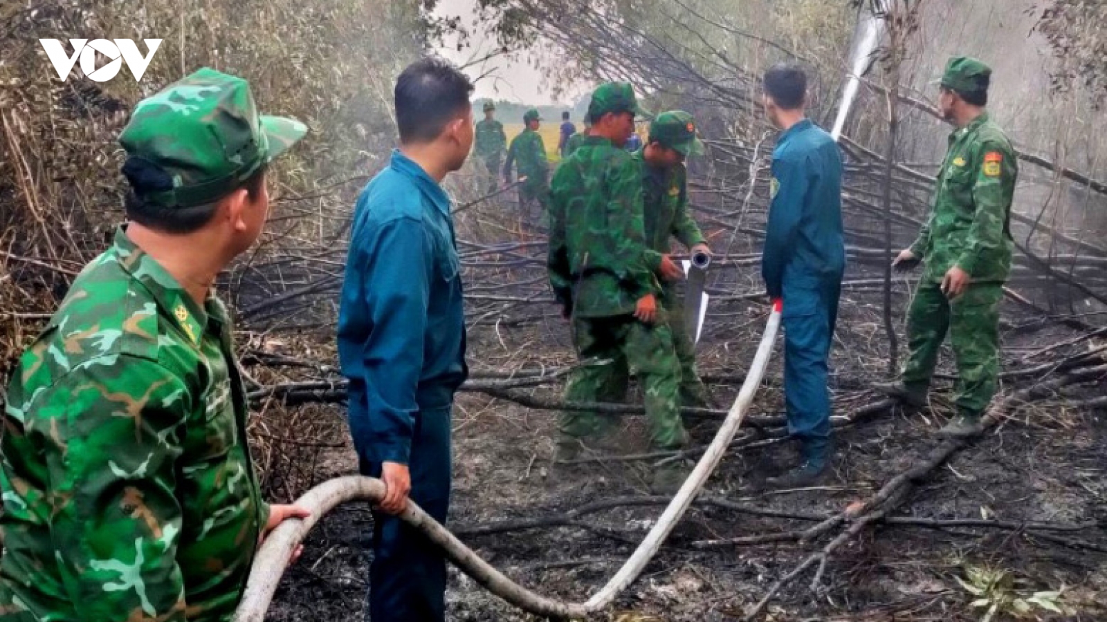 Rừng tràm bị cháy nghi do người dân làm ruộng đốt gốc rạ