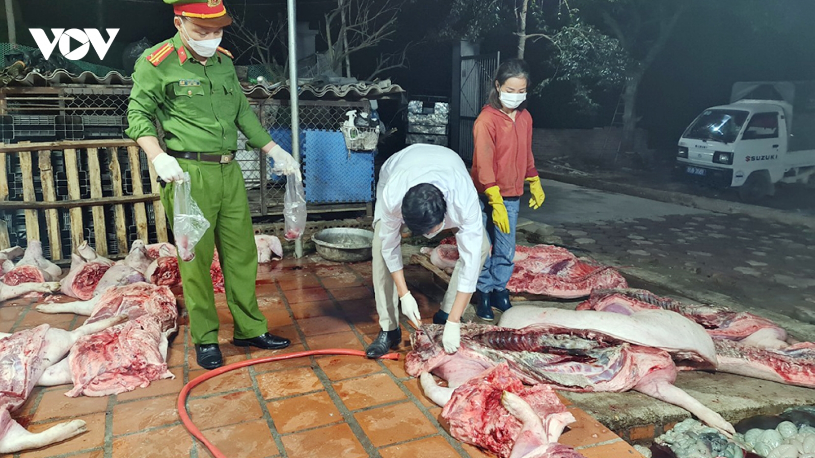 Phát hiện cơ sở giết cả tấn lợn chết để đưa sang Bắc Ninh tiêu thụ