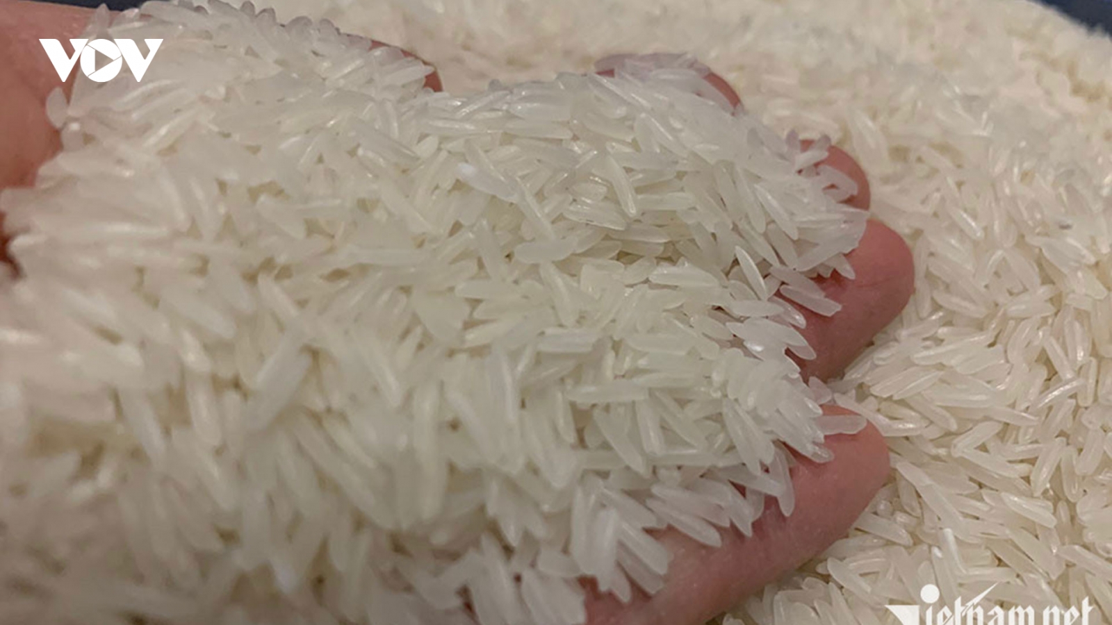 Giá gạo xuất khẩu của Việt Nam cao nhất thế giới