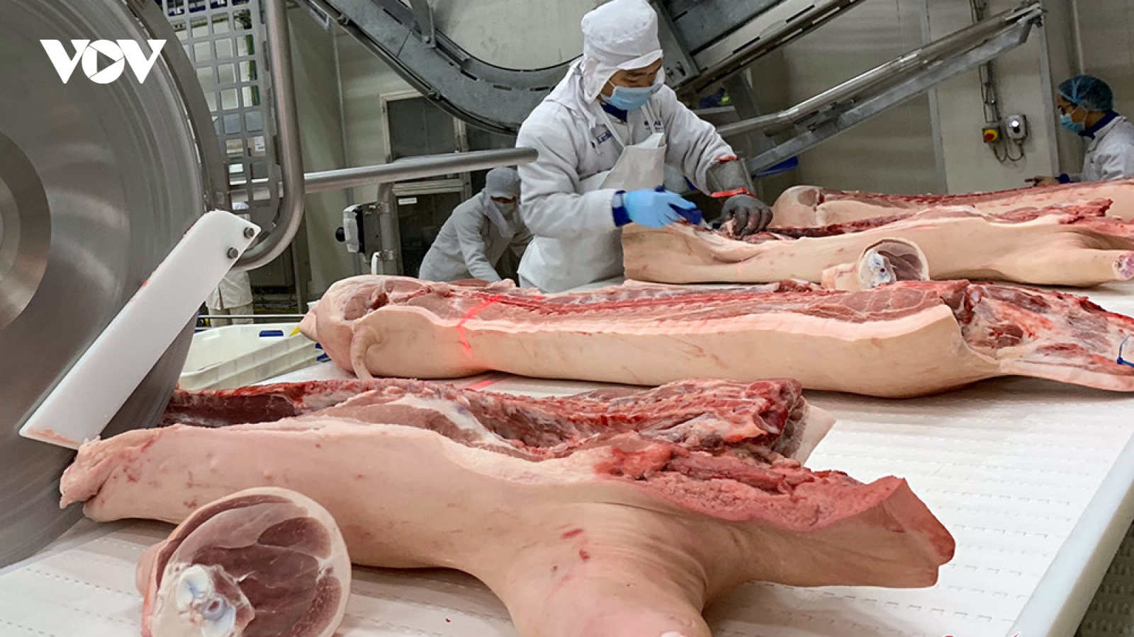 Giá lợn hơi giảm sâu, chưa nhìn thấy tín hiệu phục hồi