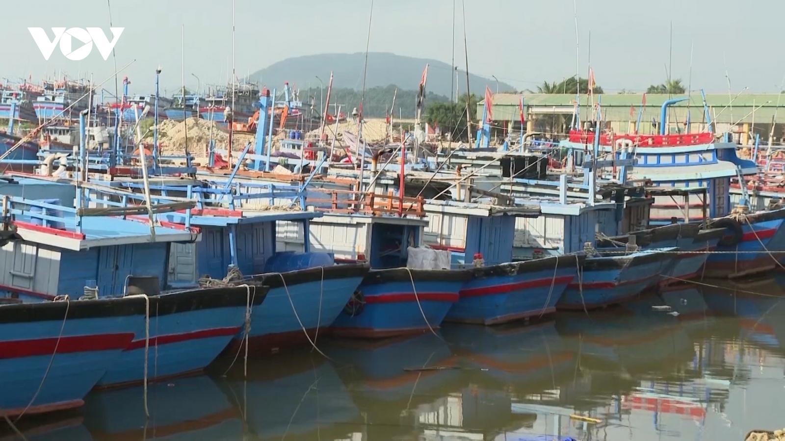 Quảng Ngãi mở đợt cao điểm 180 ngày chống khai thác hải sản bất hợp pháp