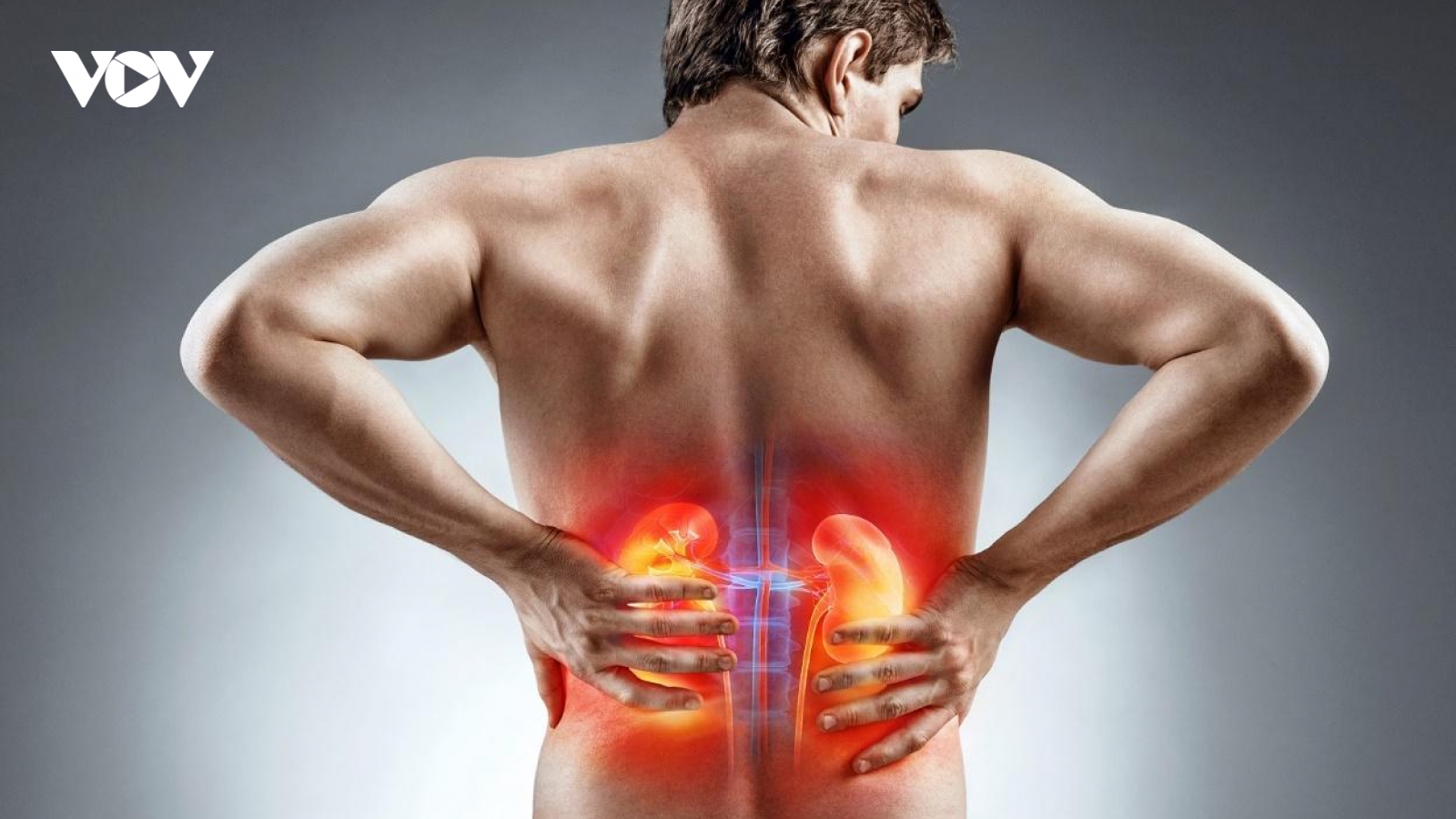 Người bị bệnh thận nên kiêng món gì?
