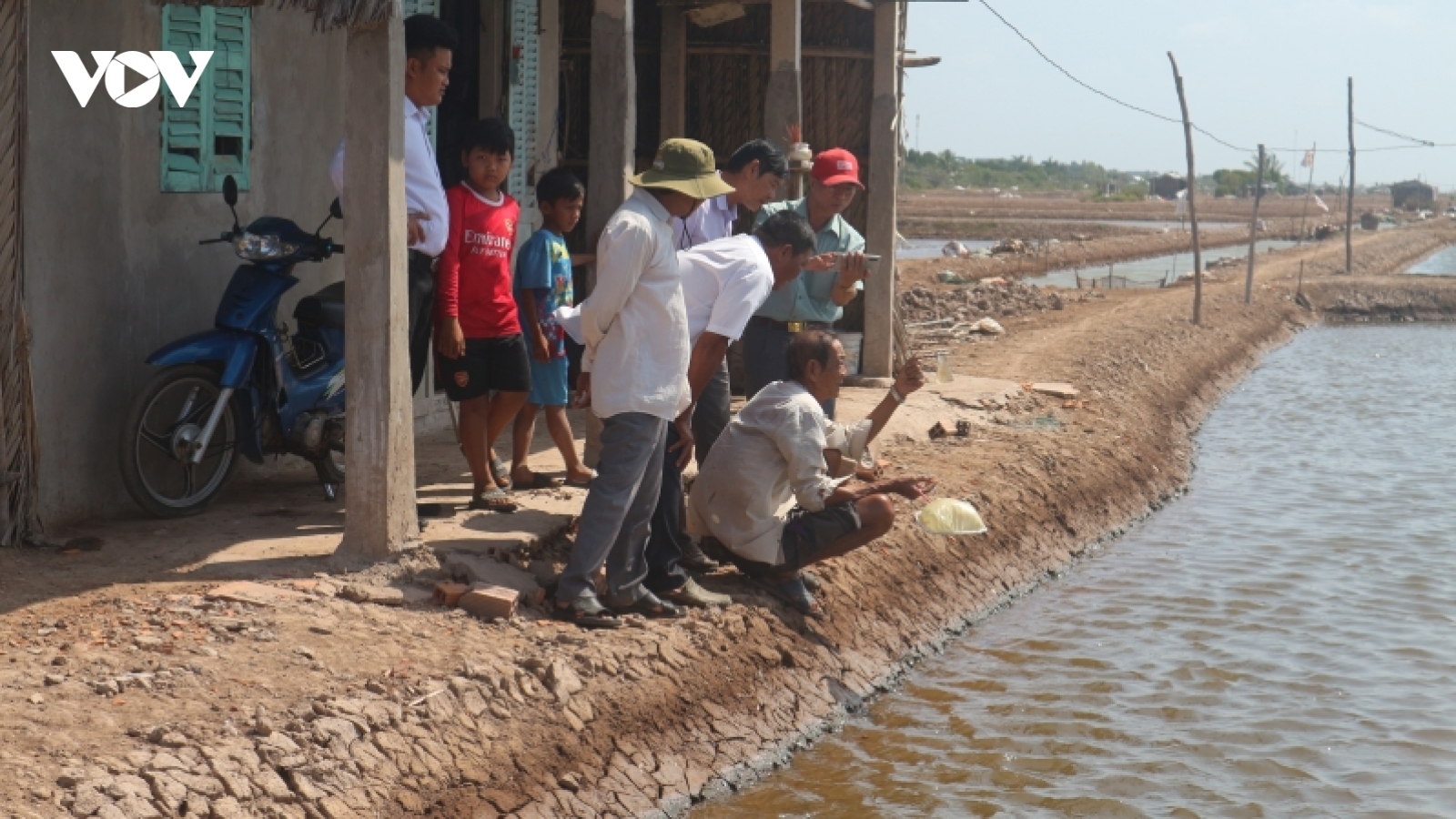 Sản xuất artemia ngày càng gặp khó