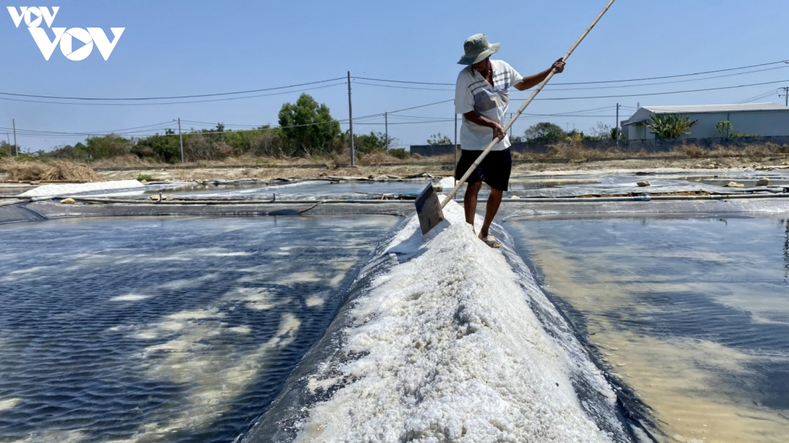 Diêm dân Bà Rịa- Vũng Tàu sống được nhờ muối có giá