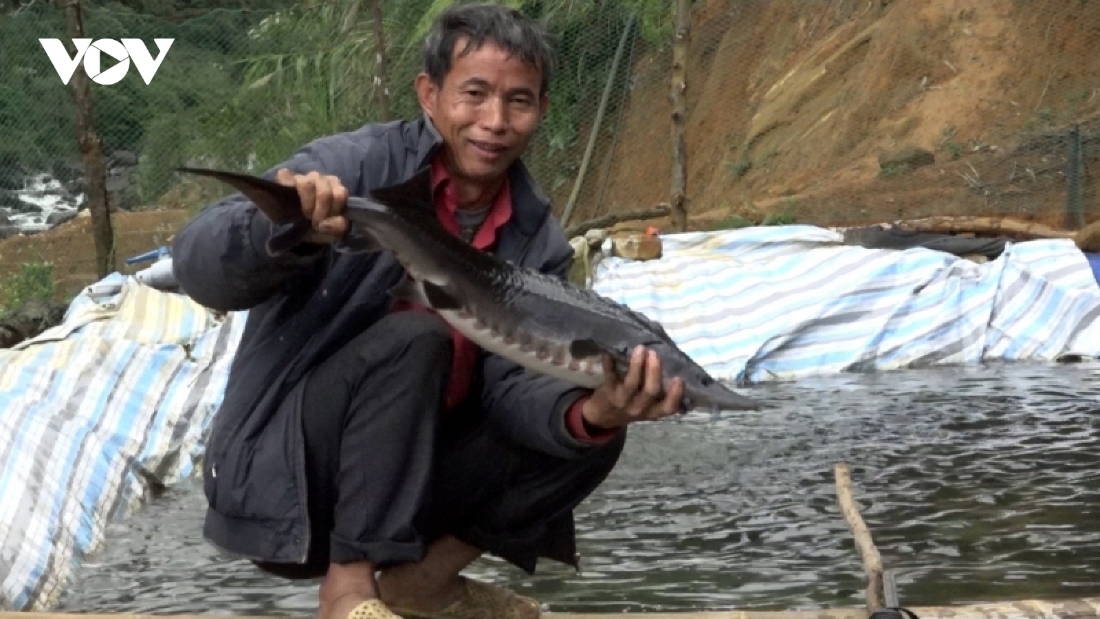 Những triệu phú nuôi cá nước lạnh trên núi