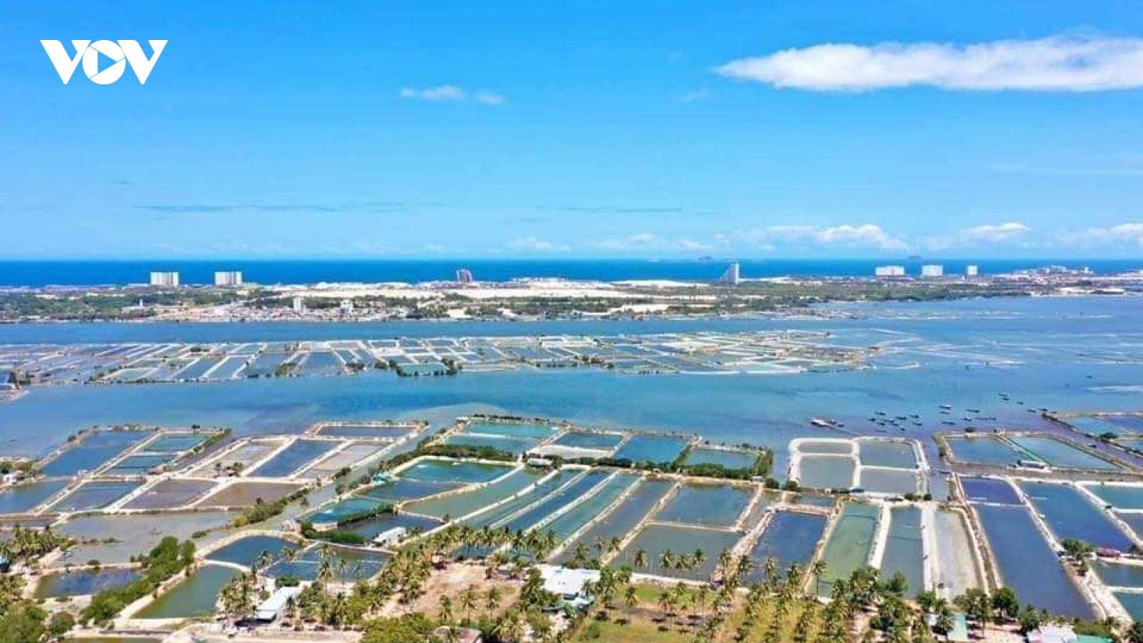 Không nên ghi đầy đủ các thành viên hộ gia đình khi sang nhượng đất đai