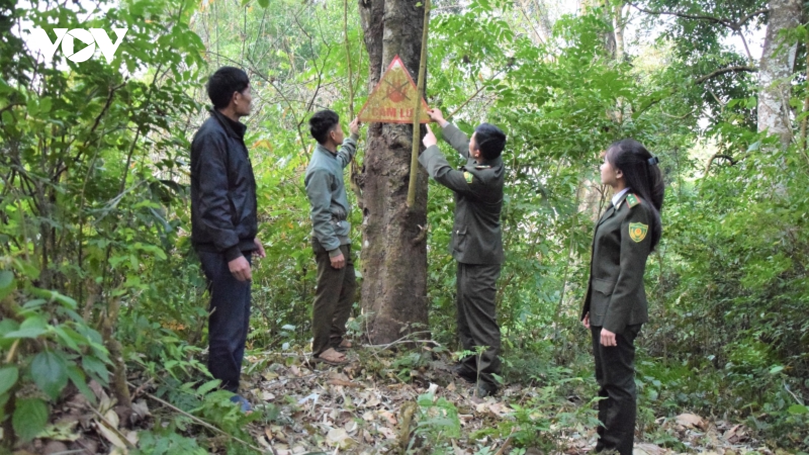 Sơn La chủ động phòng, chống cháy rừng trong những ngày cao điểm nắng nóng