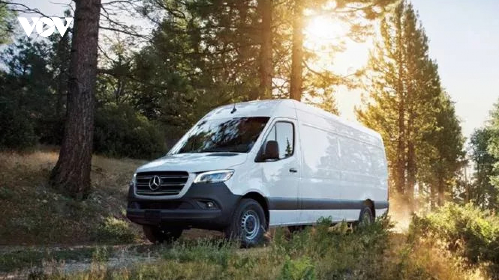 Hơn 53.000 Mercedes Sprinter bị triệu hồi vì nguy cơ bốc cháy và hỏng túi khí