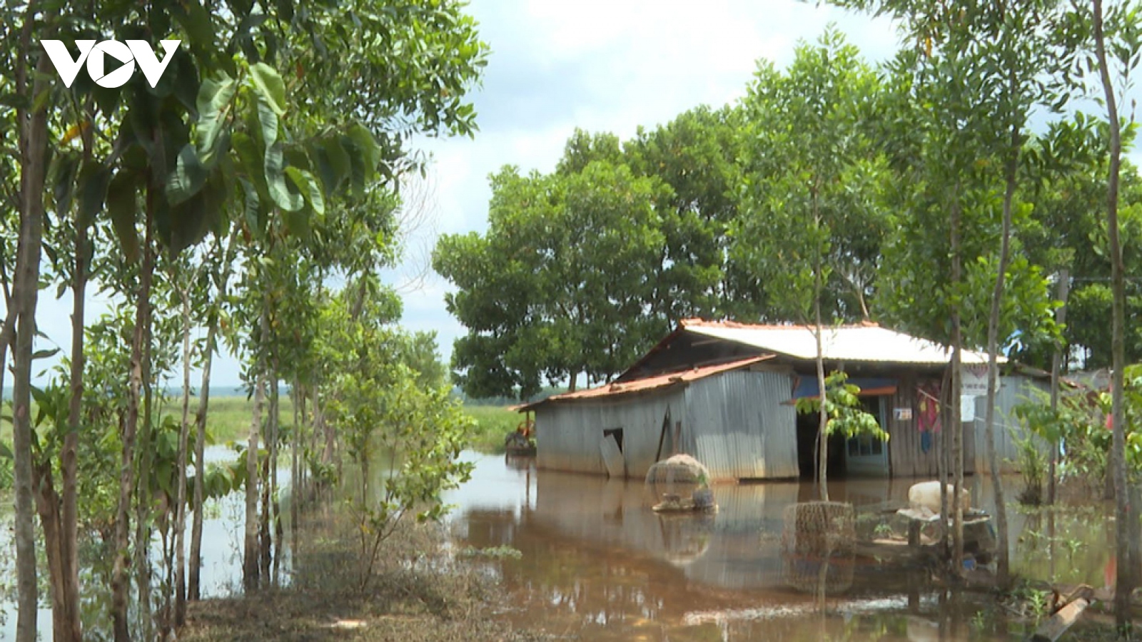 Doanh nghiệp "cầu cứu" vì bị lấn chiếm đất, lãnh đạo tỉnh Bình Phước chỉ đạo nóng
