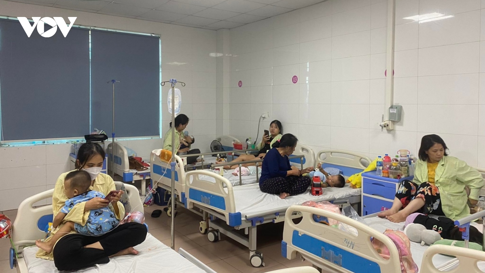 Vietnam records over 24,000 dengue infections this year