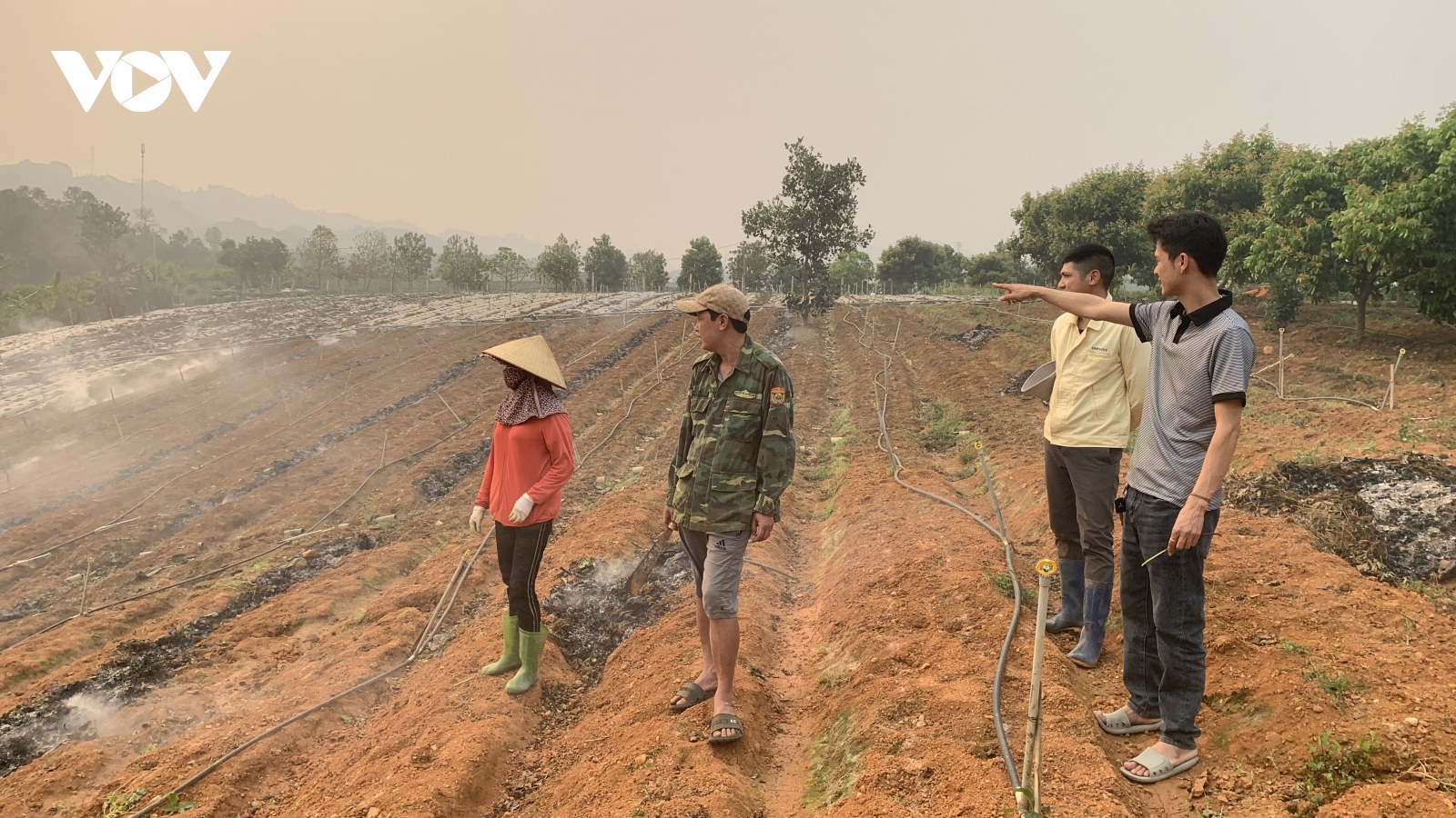 Dâu tây cuối vụ lao đao, lời giải nào cho bài toán sản xuất bền vững?