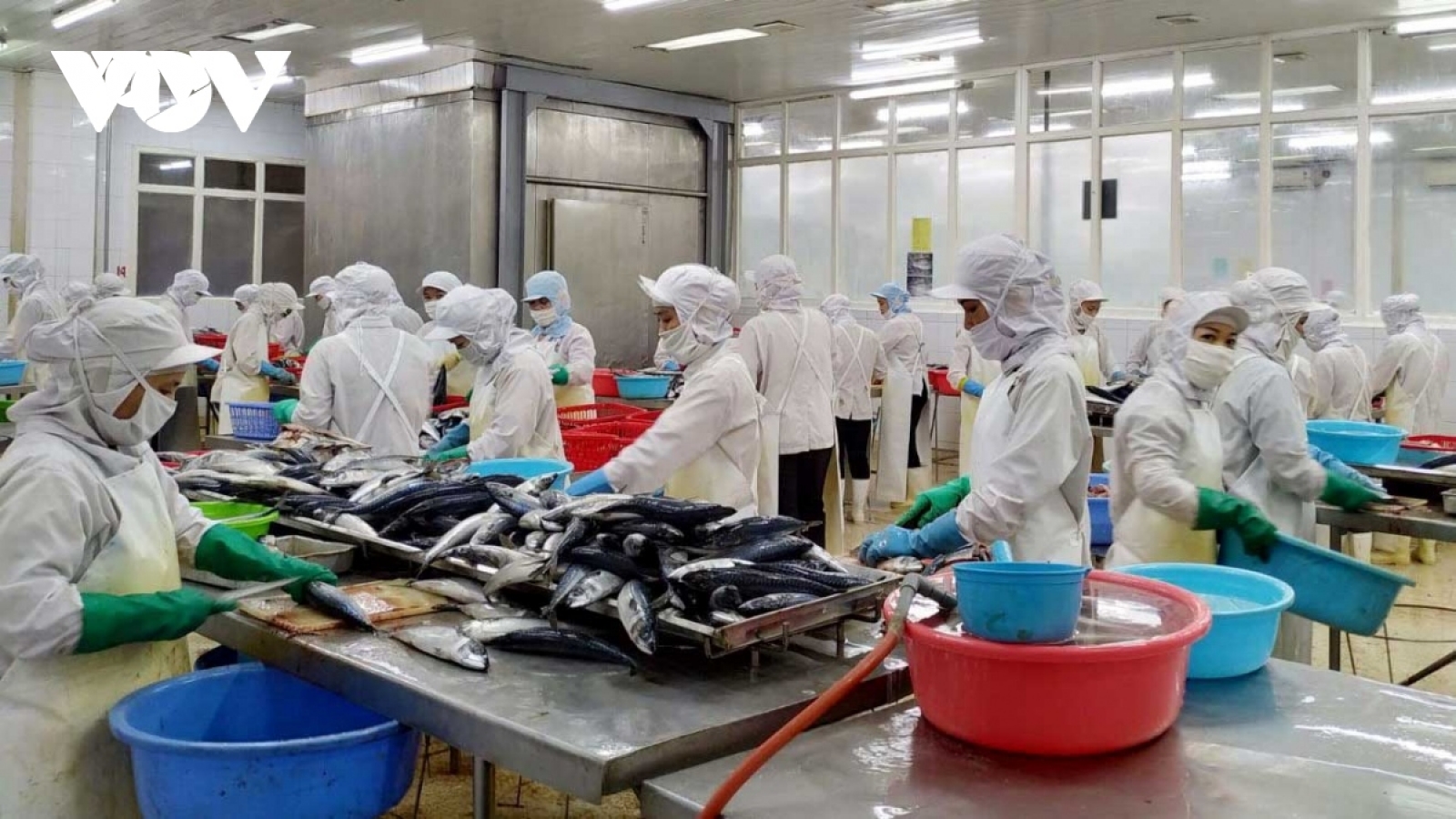 Xuất khẩu thủy sản quý 1/2023 sụt giảm do đâu?