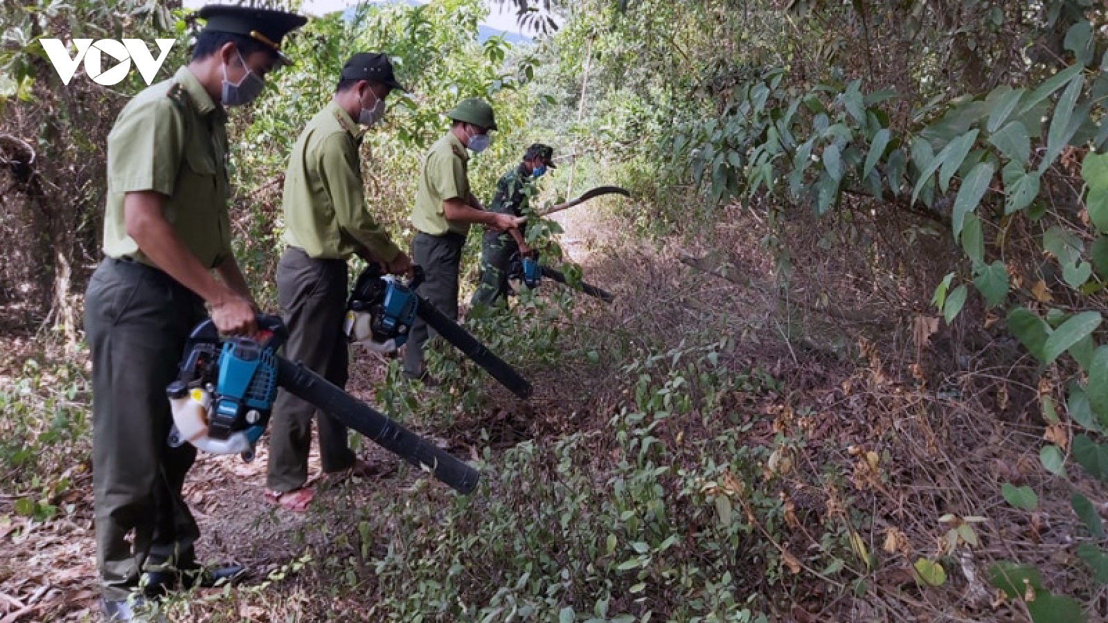 Đà Nẵng chủ động phòng chống cháy rừng mùa nắng nóng