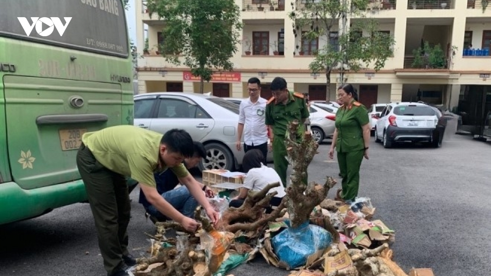 Phát hiện vụ vận chuyển lợn chết đang bốc mùi hôi thối