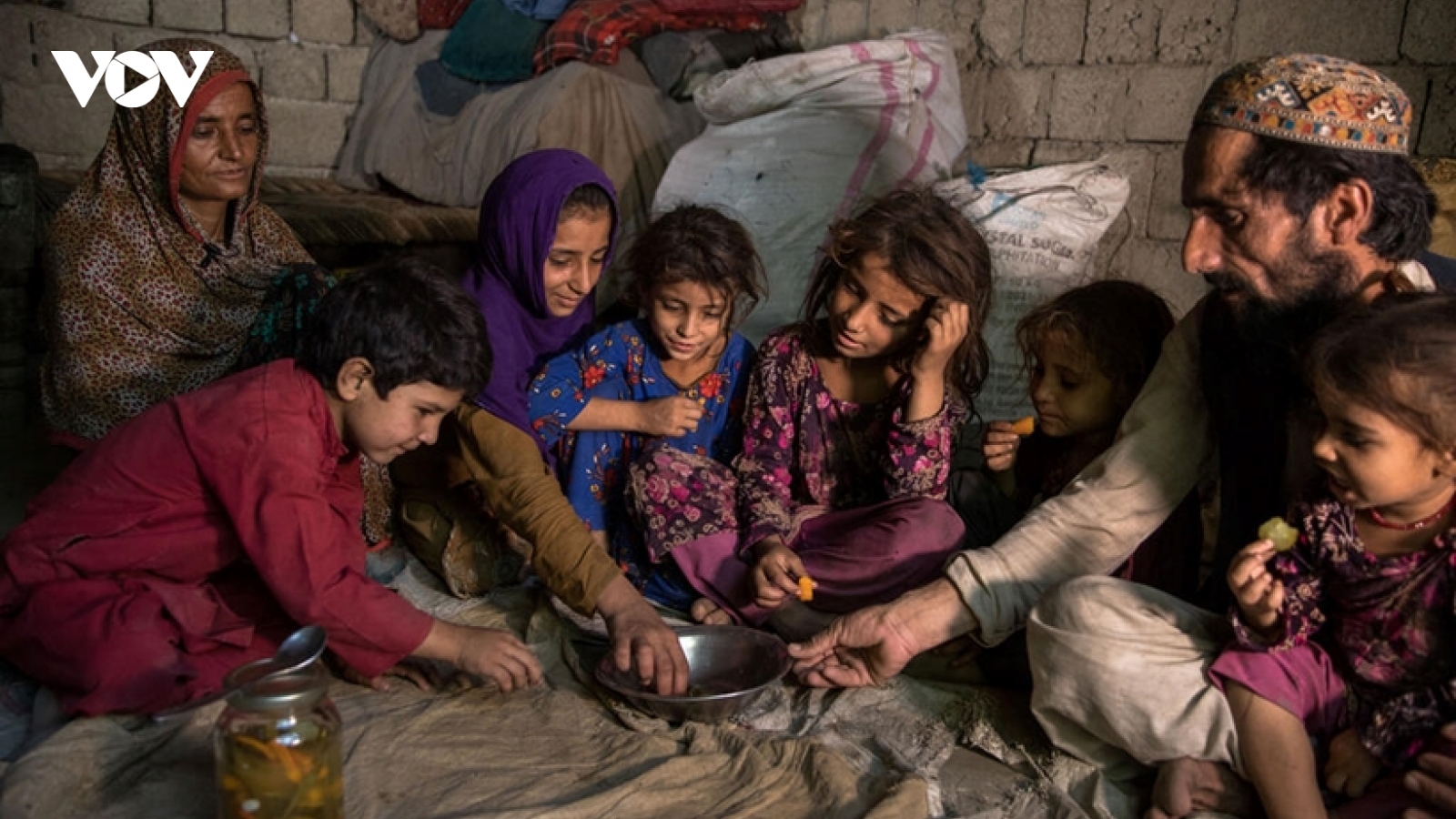 Viện trợ nhân đạo là giải pháp cần nhất cho người dân Afghanistan