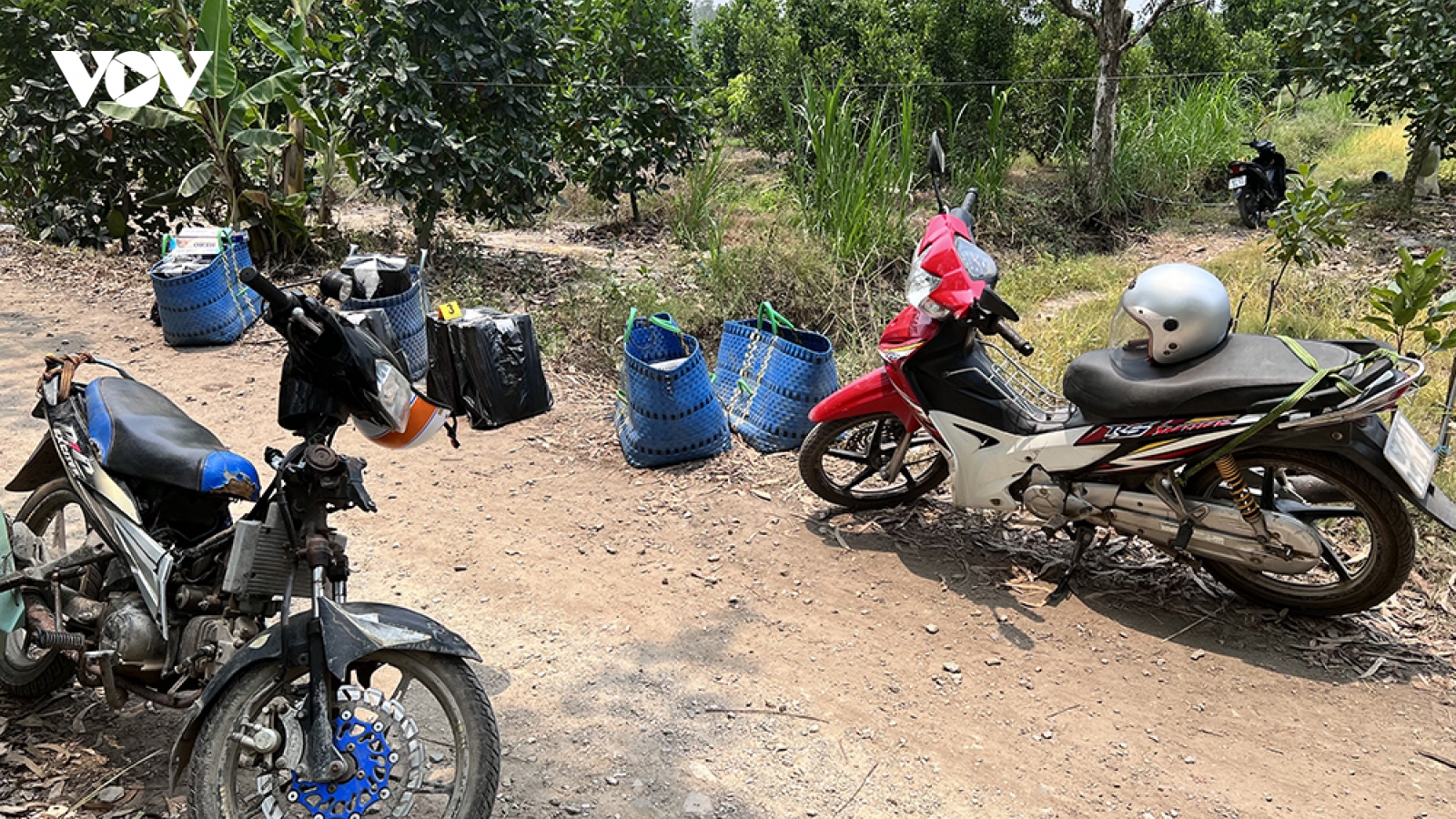 An Giang bắt giữ số lượng lớn thuốc lá lậu