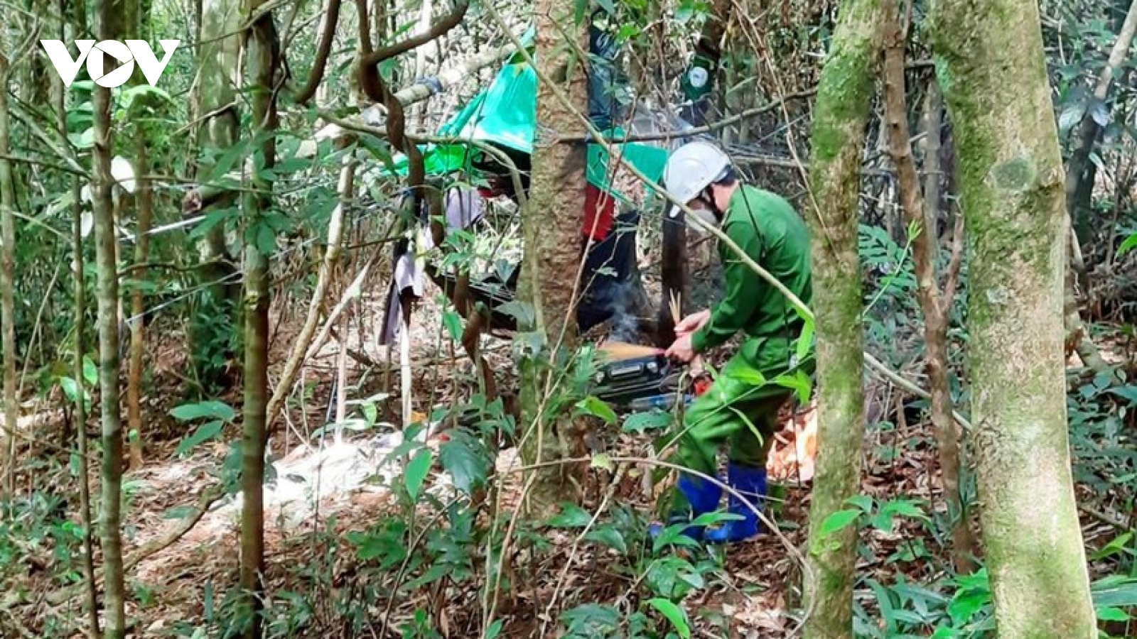 Thi thể một phụ nữ đang phân hủy trong khu rừng từng phát hiện 2 bộ xương khô