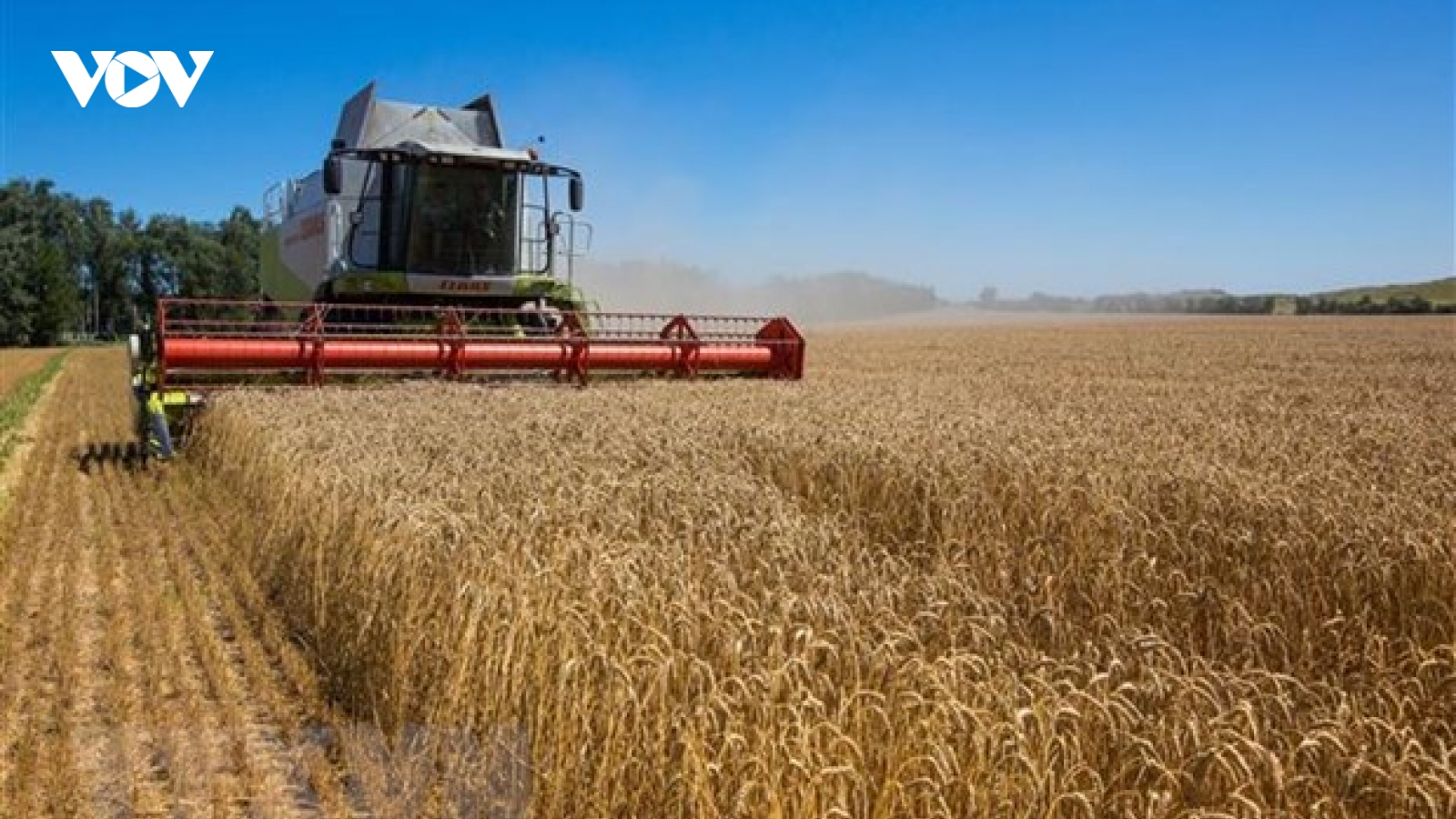 Trước làn sóng bất ổn, Ba Lan sẽ tạm ngừng nhập khẩu ngũ cốc của Ukraine