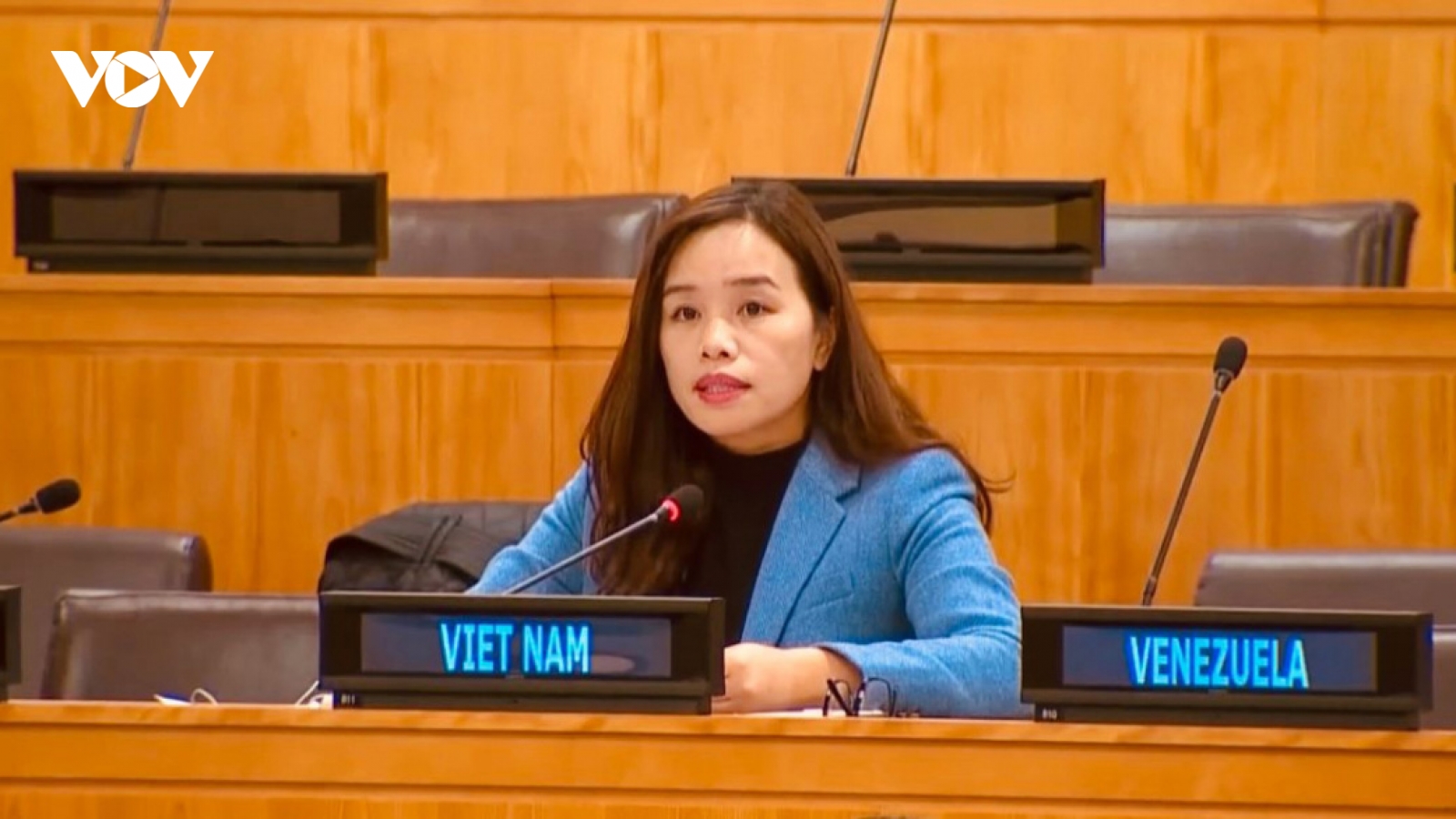 Việt Nam nhấn mạnh quyền sử dụng năng lượng hạt nhân vì mục đích hoà bình