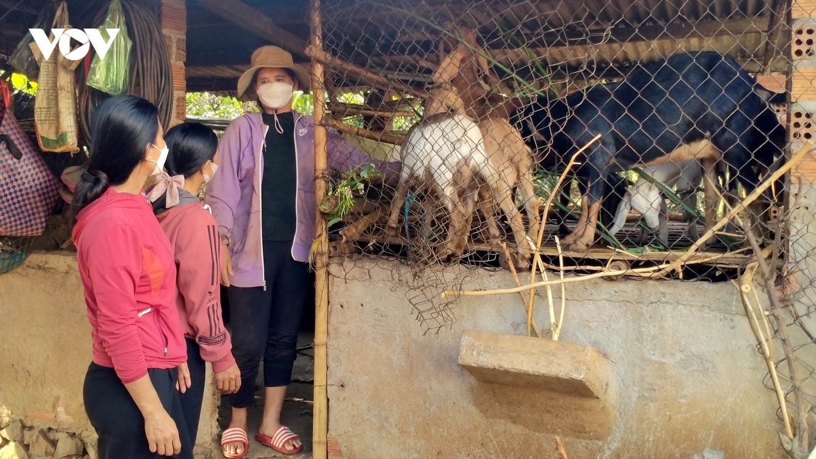 Đắk Lắk cải thiện sinh kế cho phụ nữ dân tộc thiểu số
