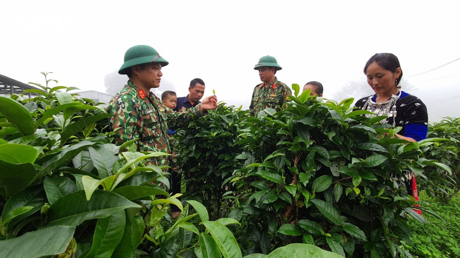 “Sao đỏ” trên dãy Phu Xai Lai Leng