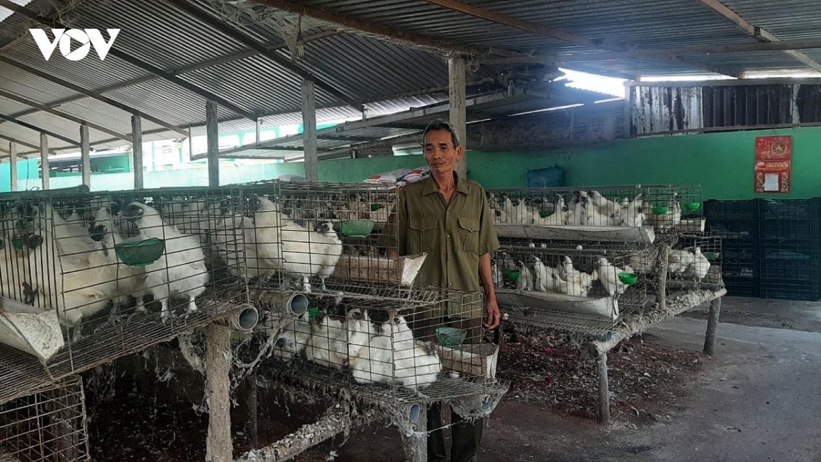 Người cựu chiến binh Tiền Giang “chiến thắng” đói nghèo, lạc hậu