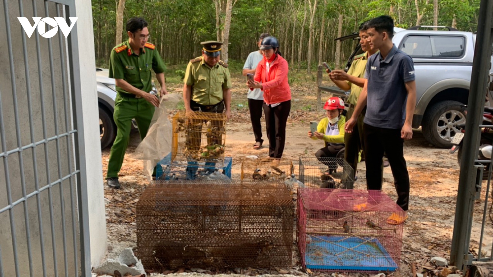 Hàng trăm cá thể động vật quý hiếm được thả về rừng ở Bình Dương