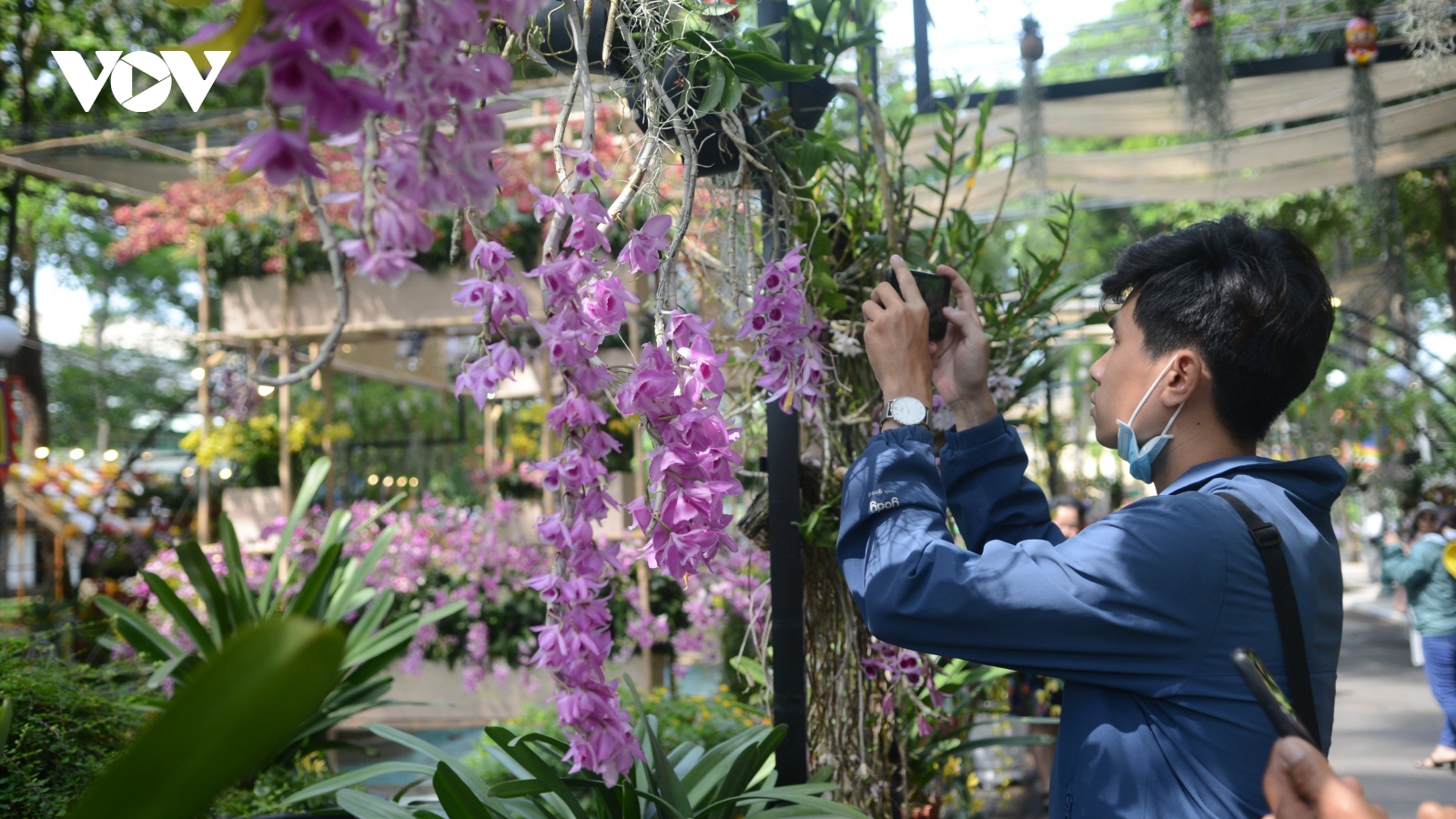 Festival hoa lan tại TP.HCM thu hút hàng ngàn lượt khách tham quan