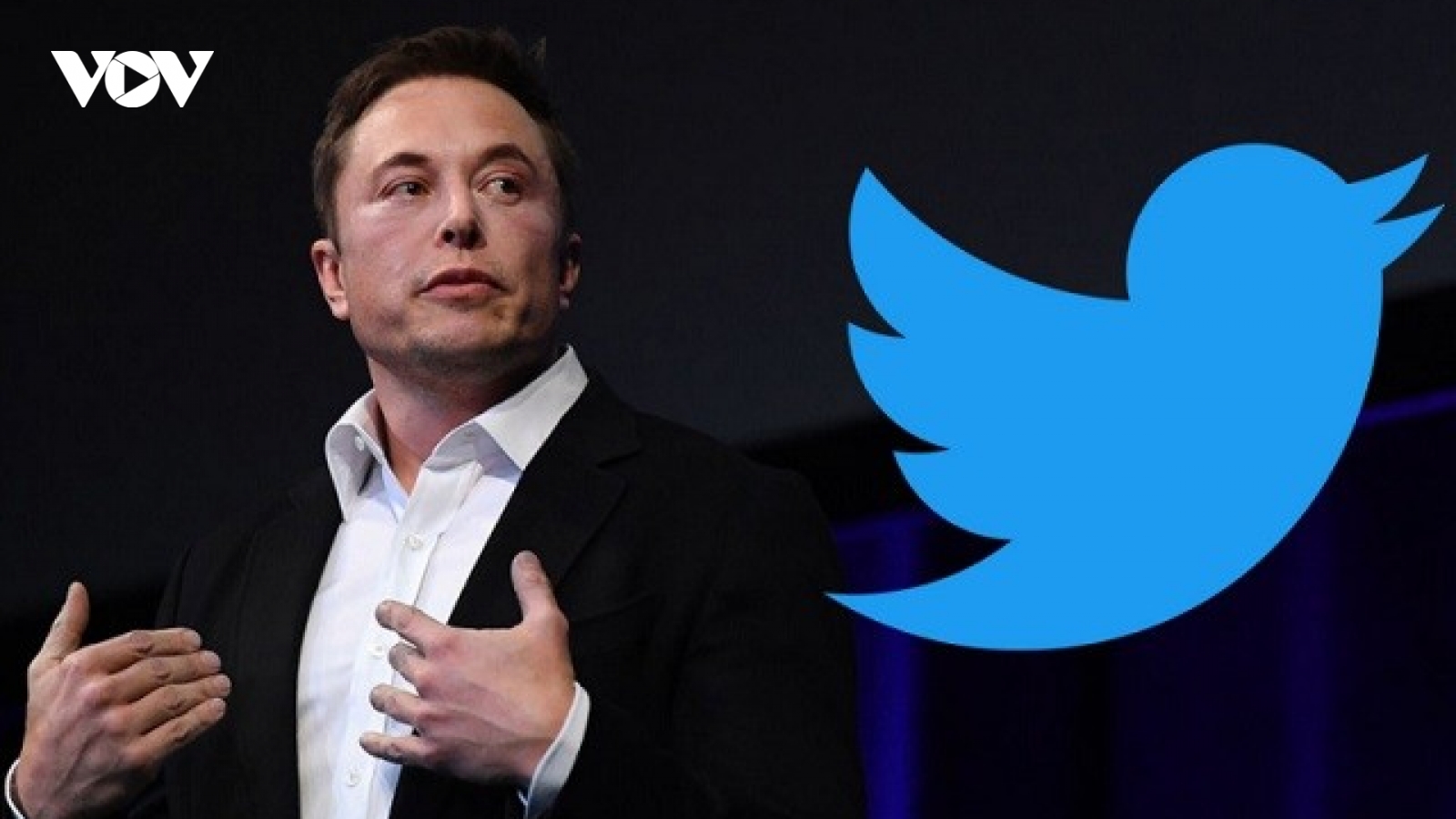 Elon Musk thông báo đã tìm được Giám đốc điều hành Twitter mới