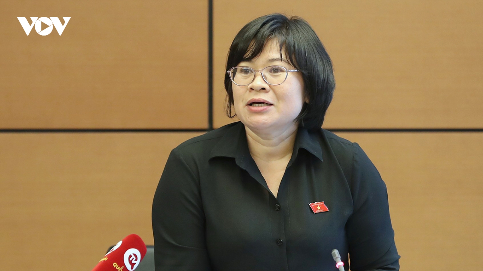 Đại biểu Quốc hội: “Nên tạo cơ chế cho người tín nhiệm thấp chủ động từ chức”