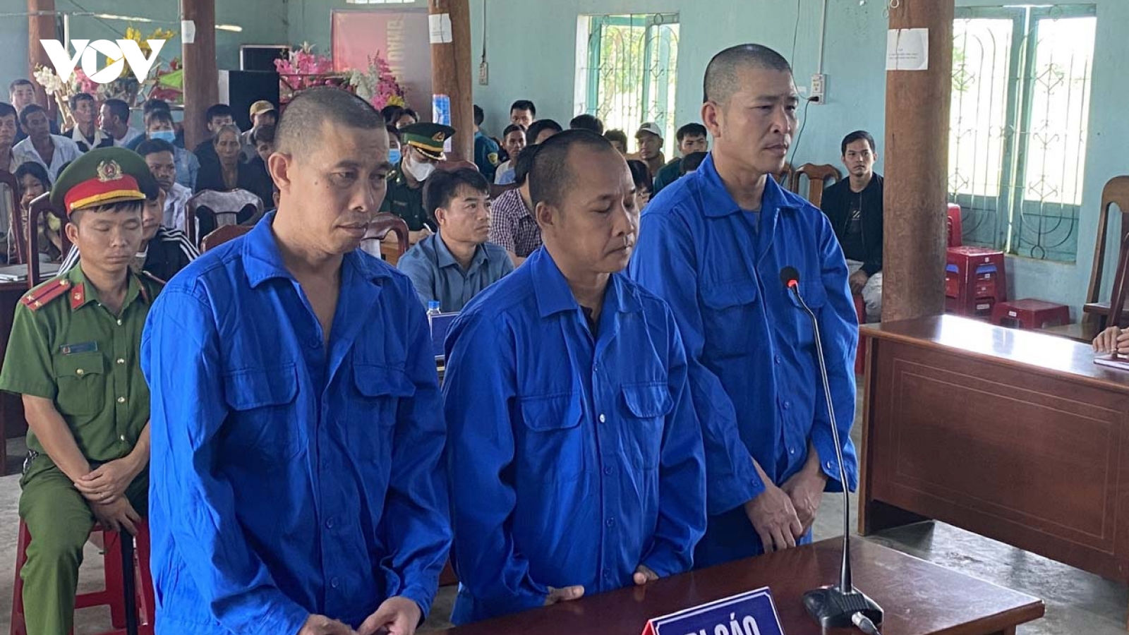 21 năm 6 tháng tù giam cho 3 bị cáo cưa hạ gỗ rừng