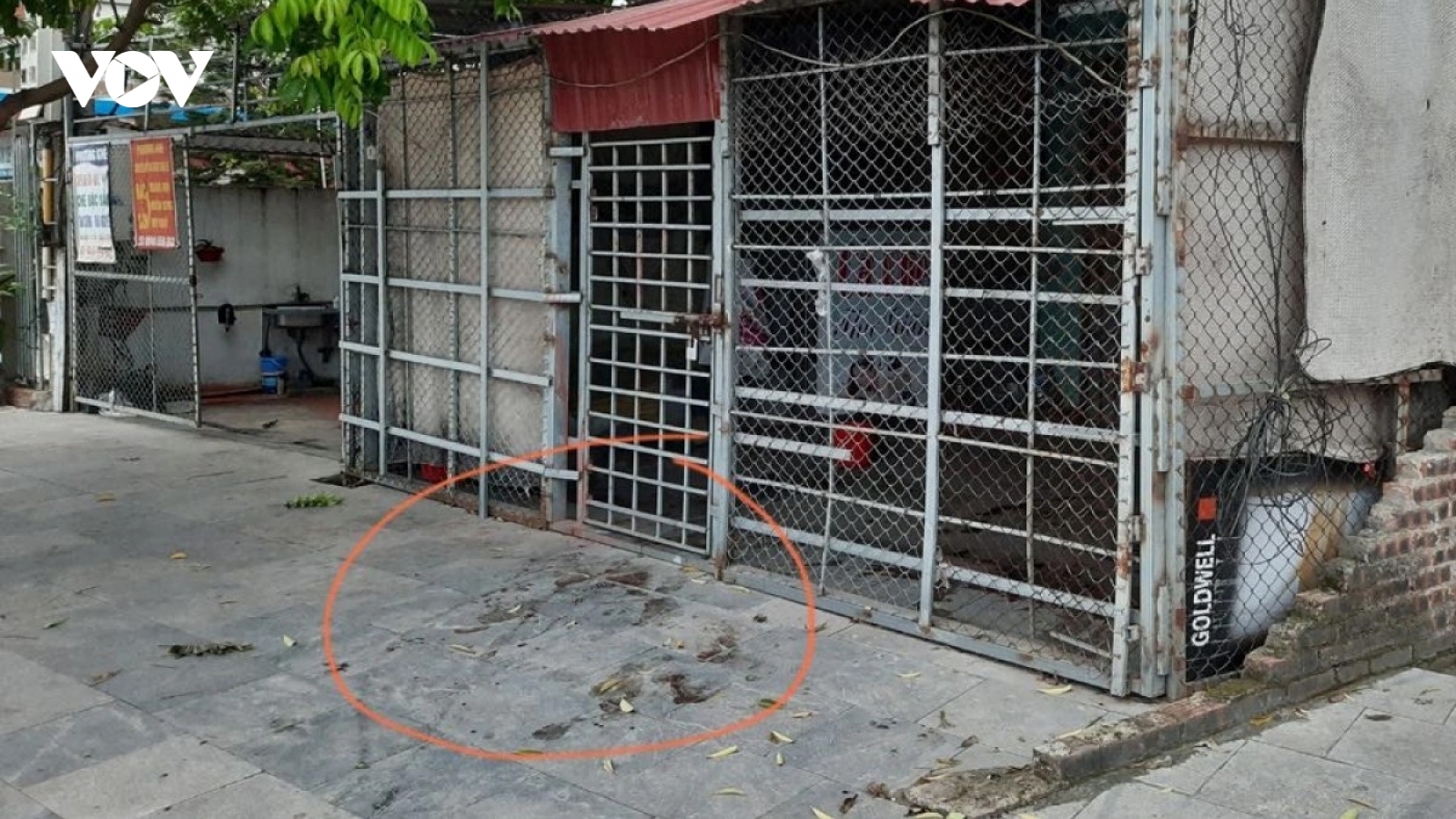 Bắt 5 nghi phạm vụ nữ nhân viên quán cà phê thư giãn bị sát hại ở Bắc Giang