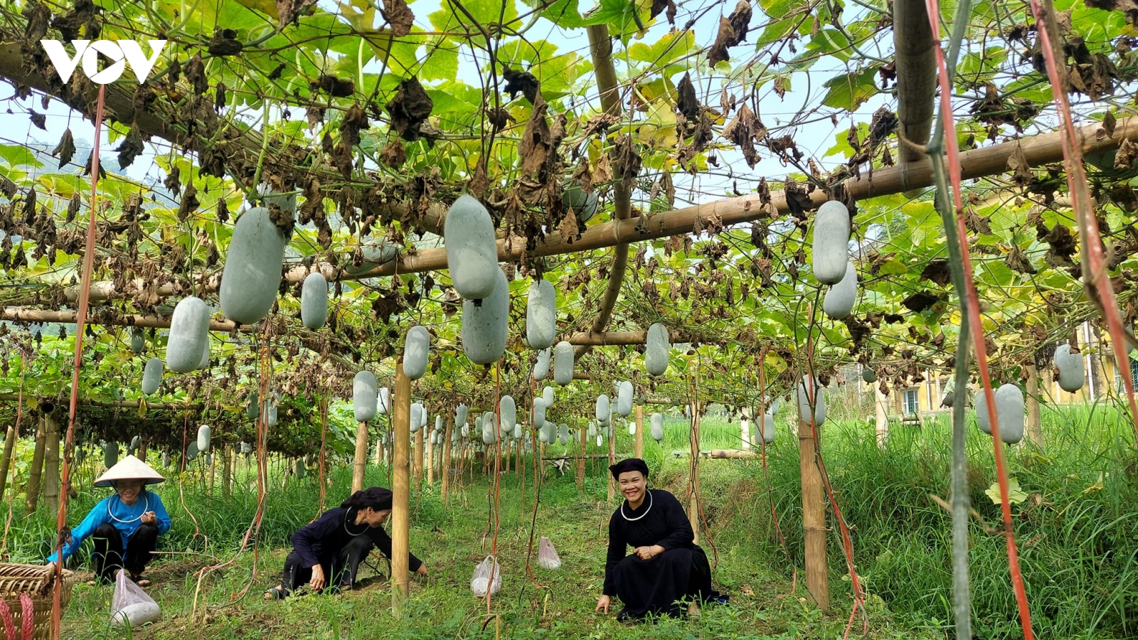 Tuần Văn hóa du lịch Bắc Kạn mang đến nhiều trải nghiệm mới