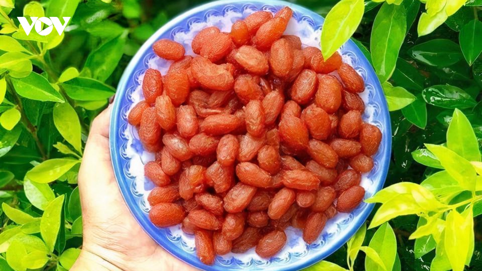 Món mứt lạ giá đắt đỏ, muốn mua phải “xếp hàng”