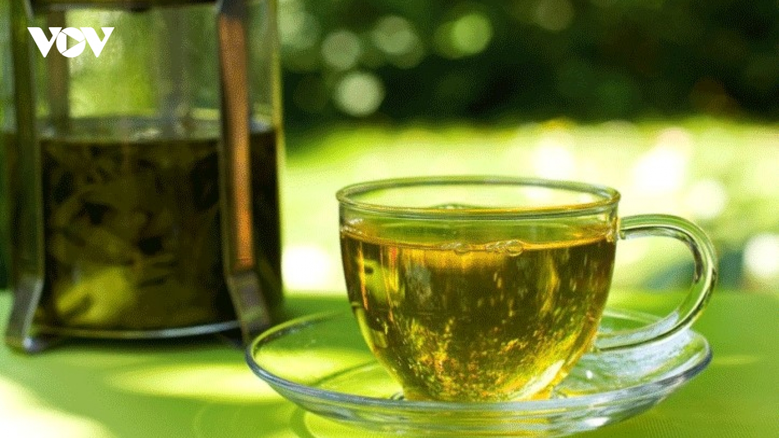 Uống chè xanh thế nào để tốt cho sức khỏe?