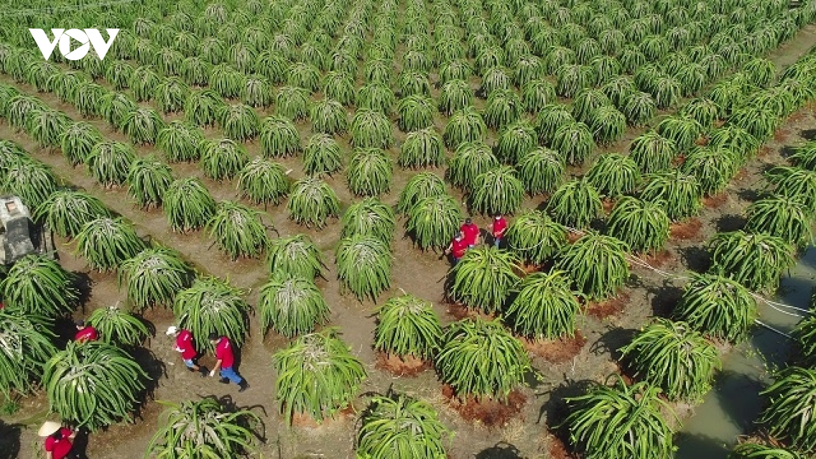 Sản xuất xanh, chuyện “sống còn” của doanh nghiệp xuất khẩu
