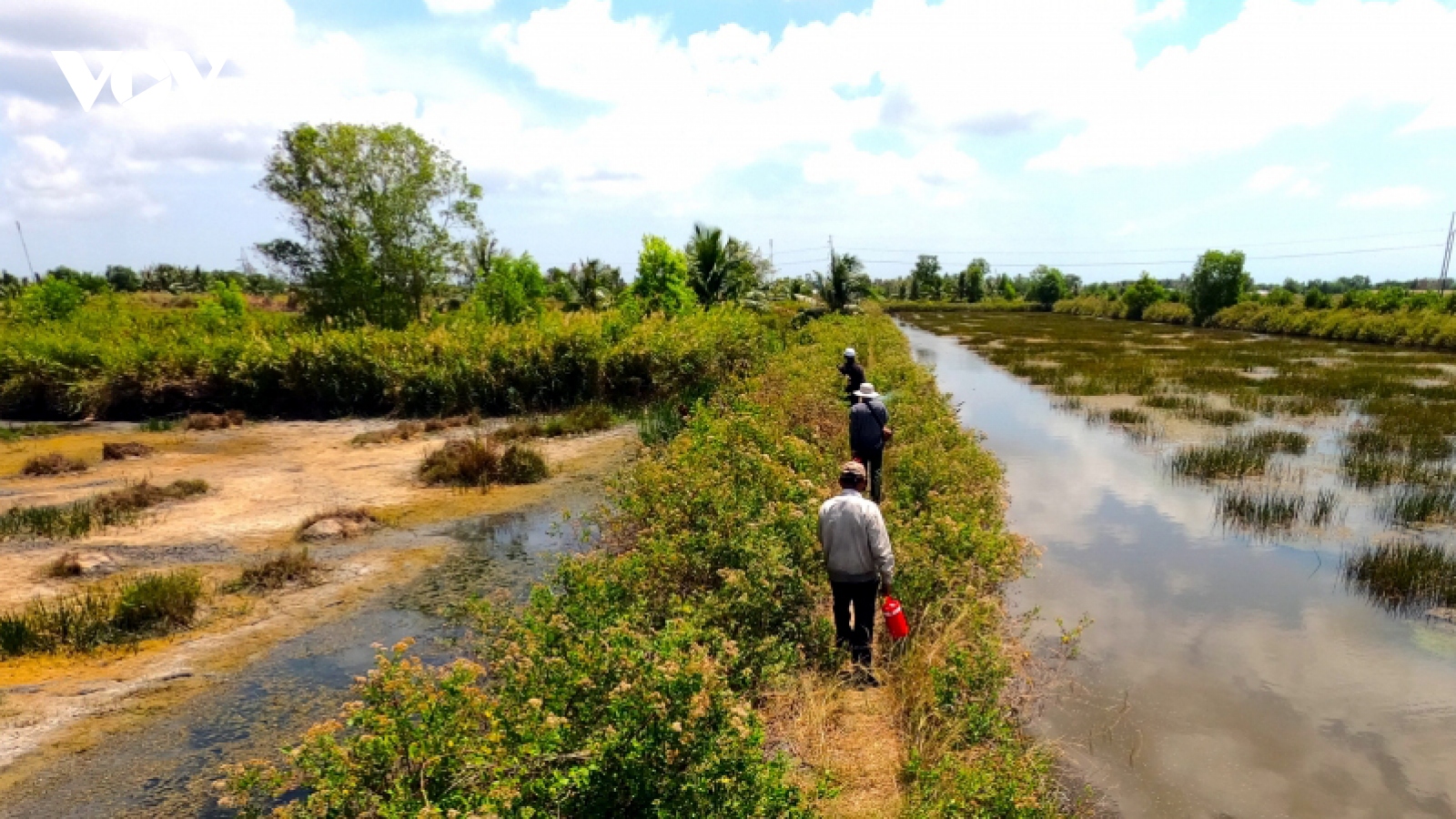 Săn ong ruồi cực nhọc nhưng thu nhập cao