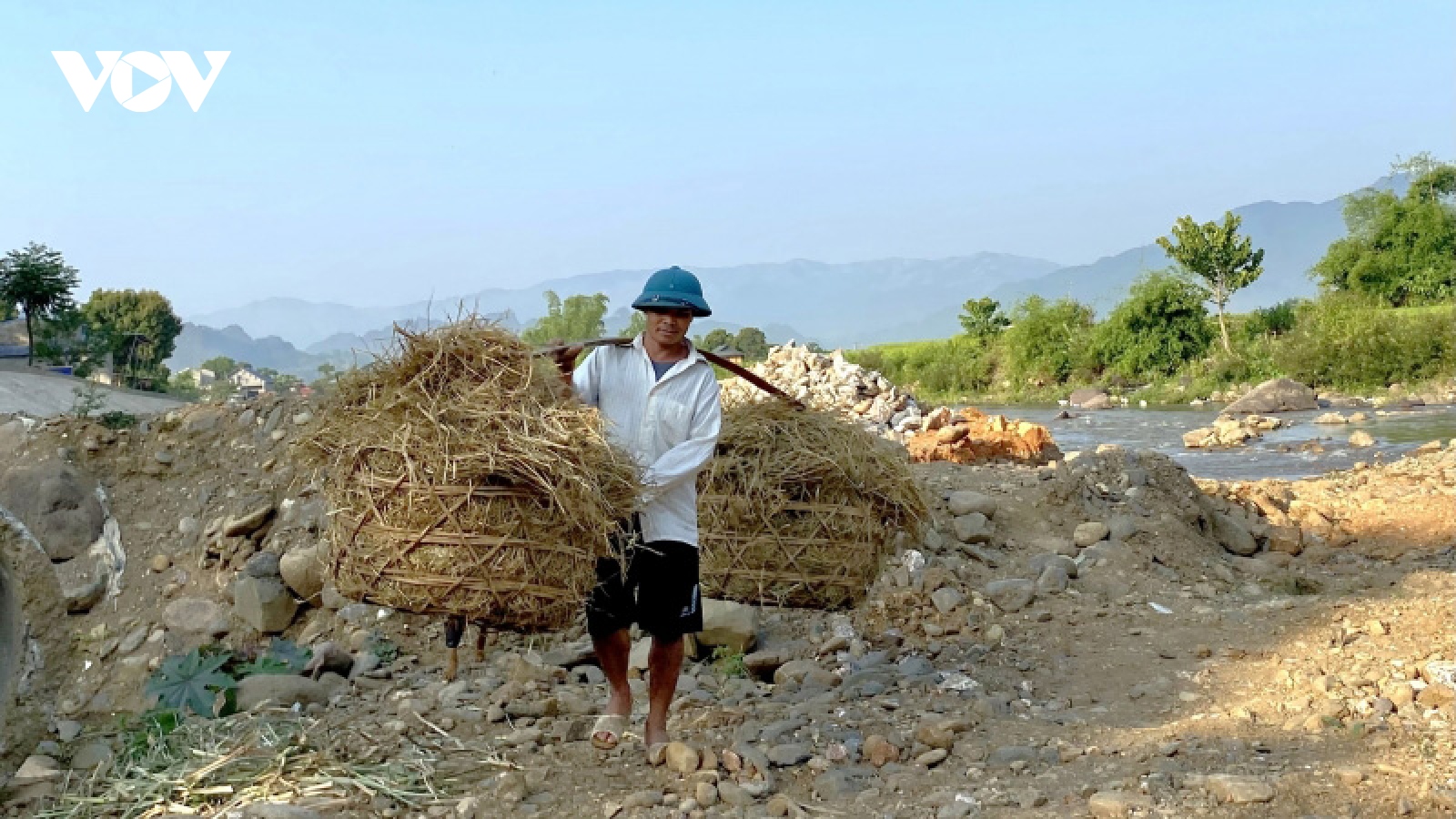 Nông dân miền núi Sơn La ứng phó với nắng nóng, khô hạn