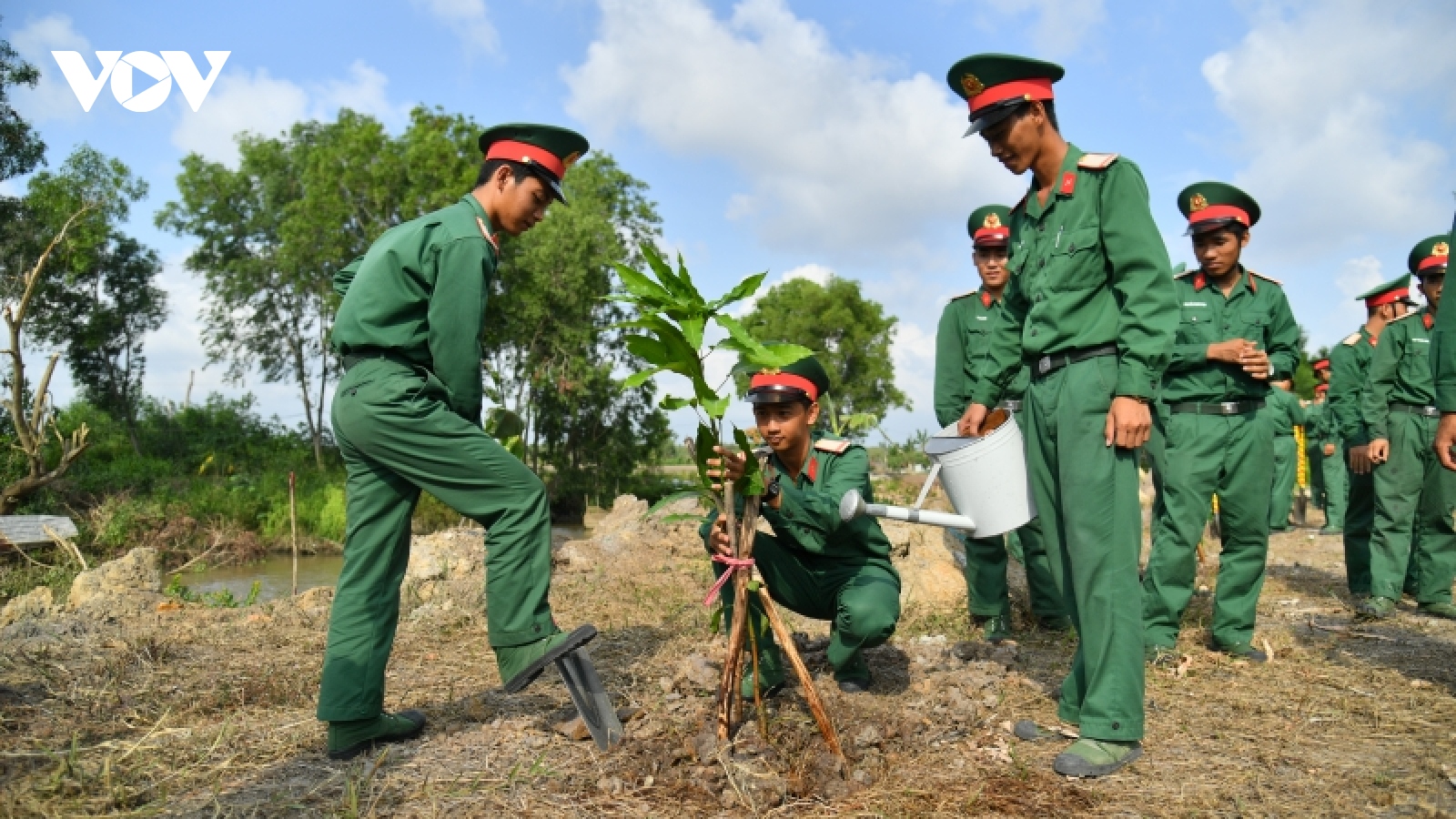 Nhiều địa phương phát động “Tết trồng cây” nhân ngày sinh nhật Bác
